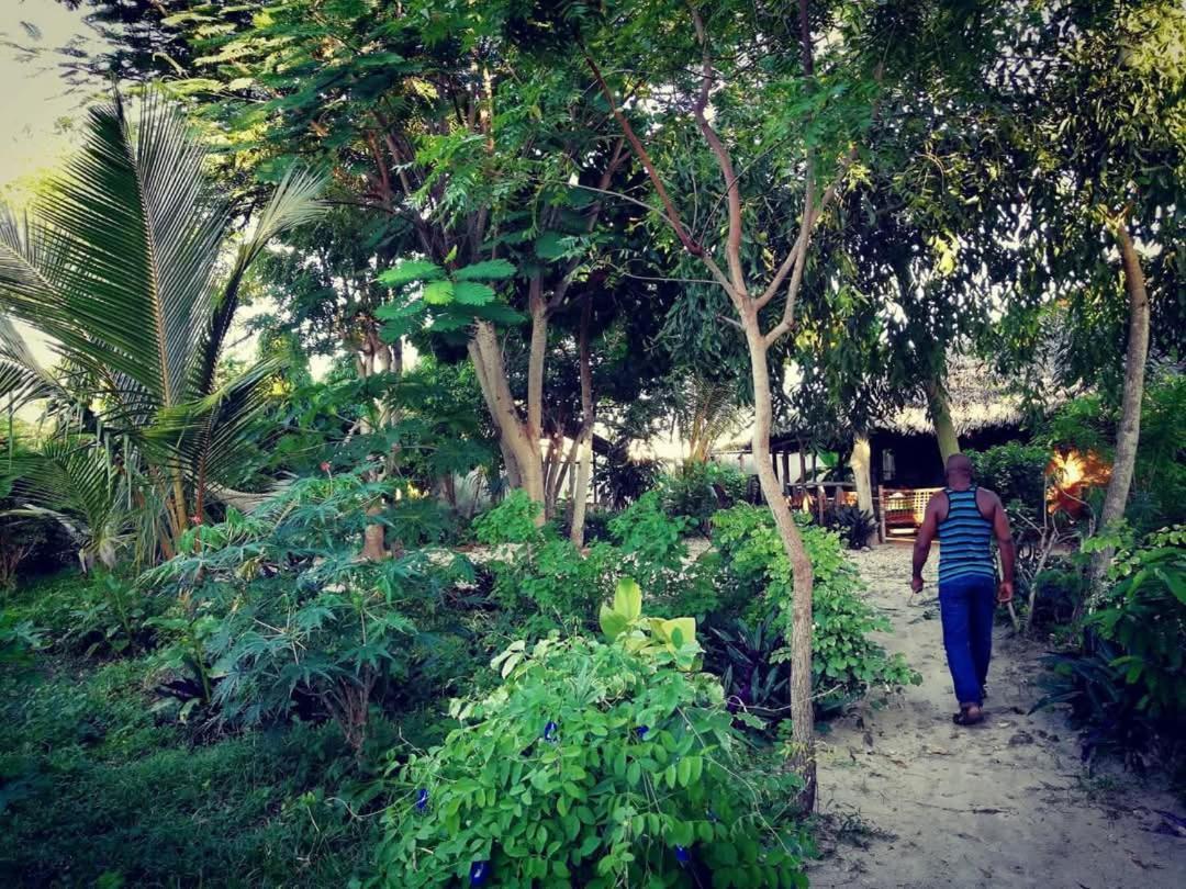 Hotel Shadrack Backpackers