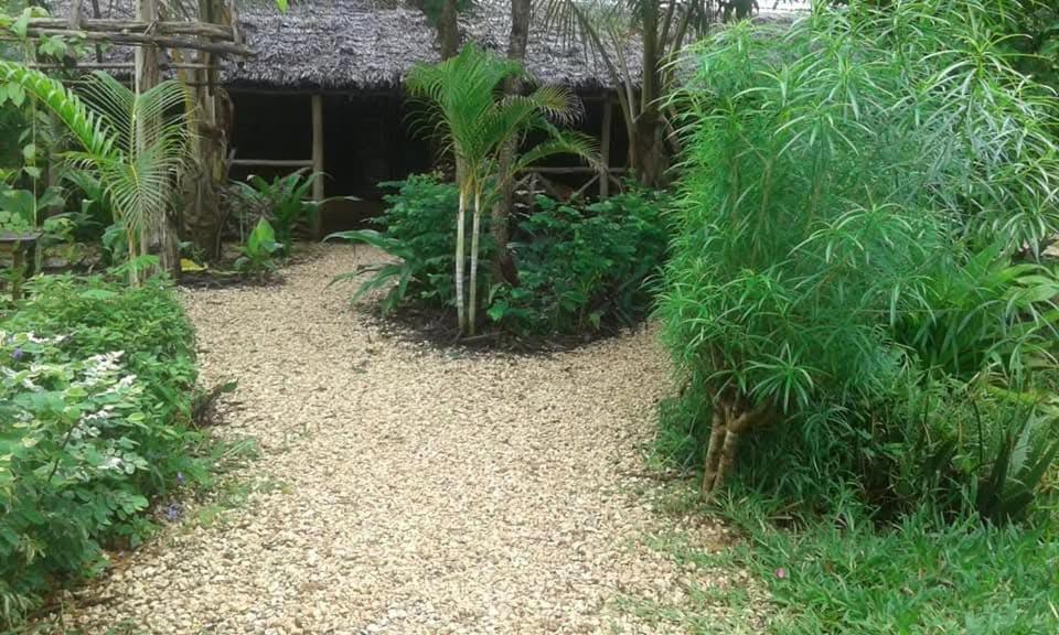 Shadrack Backpackers Hotel 3*