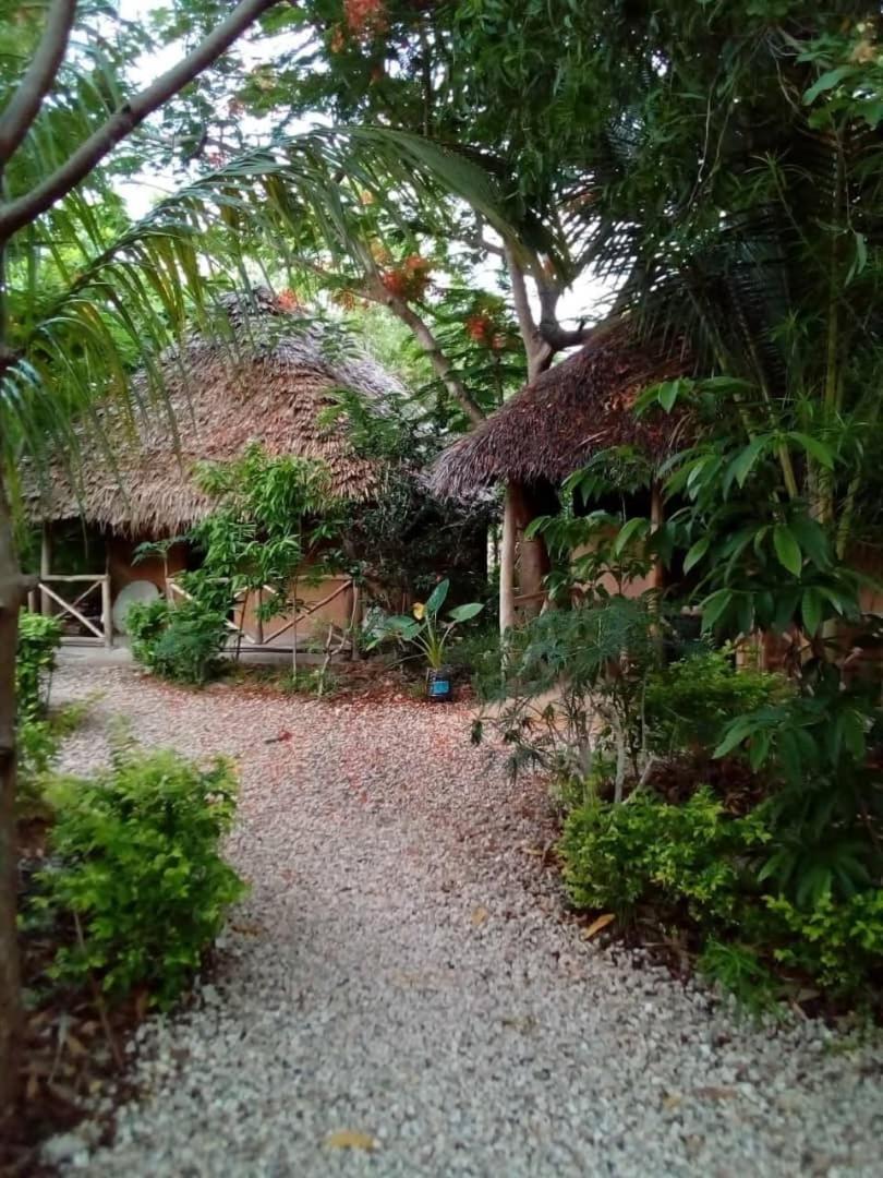 Shadrack Backpackers Nungwi