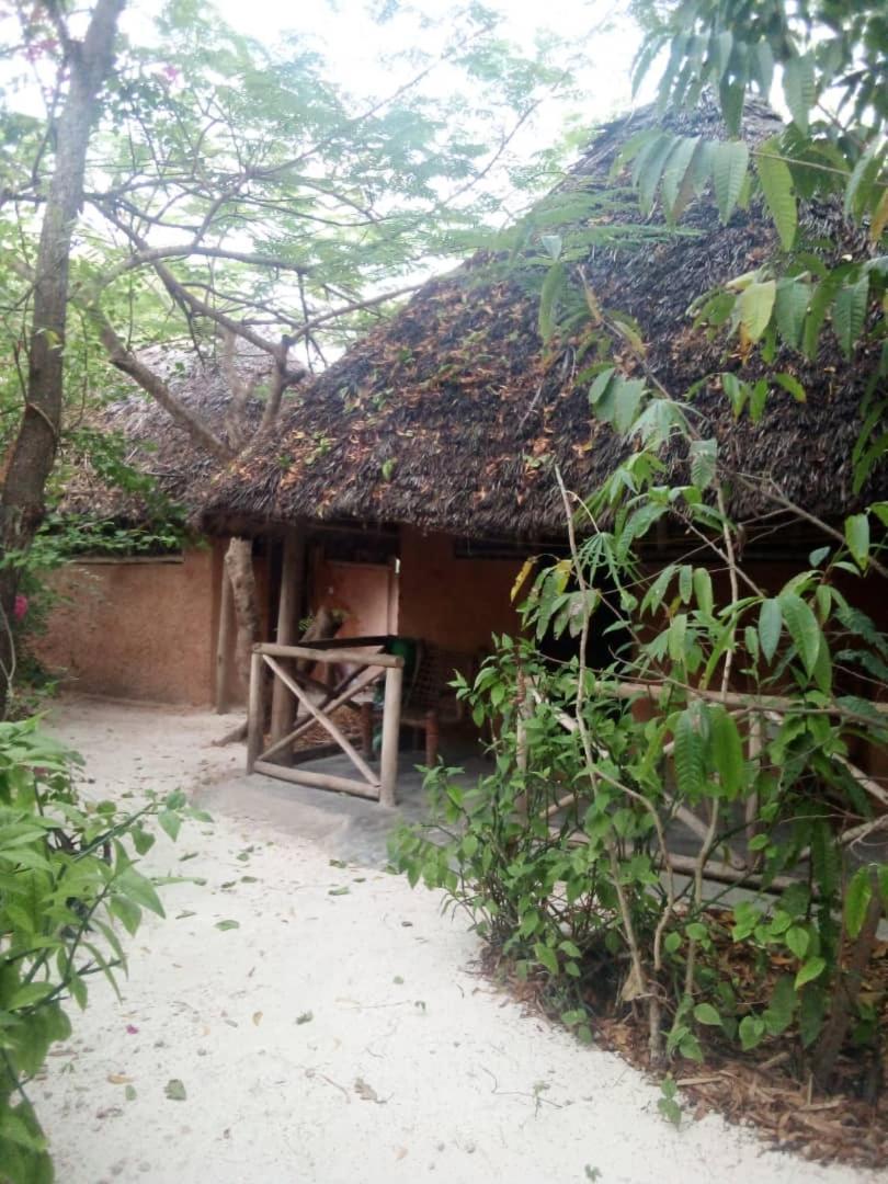 Shadrack Backpackers 3* Nungwi