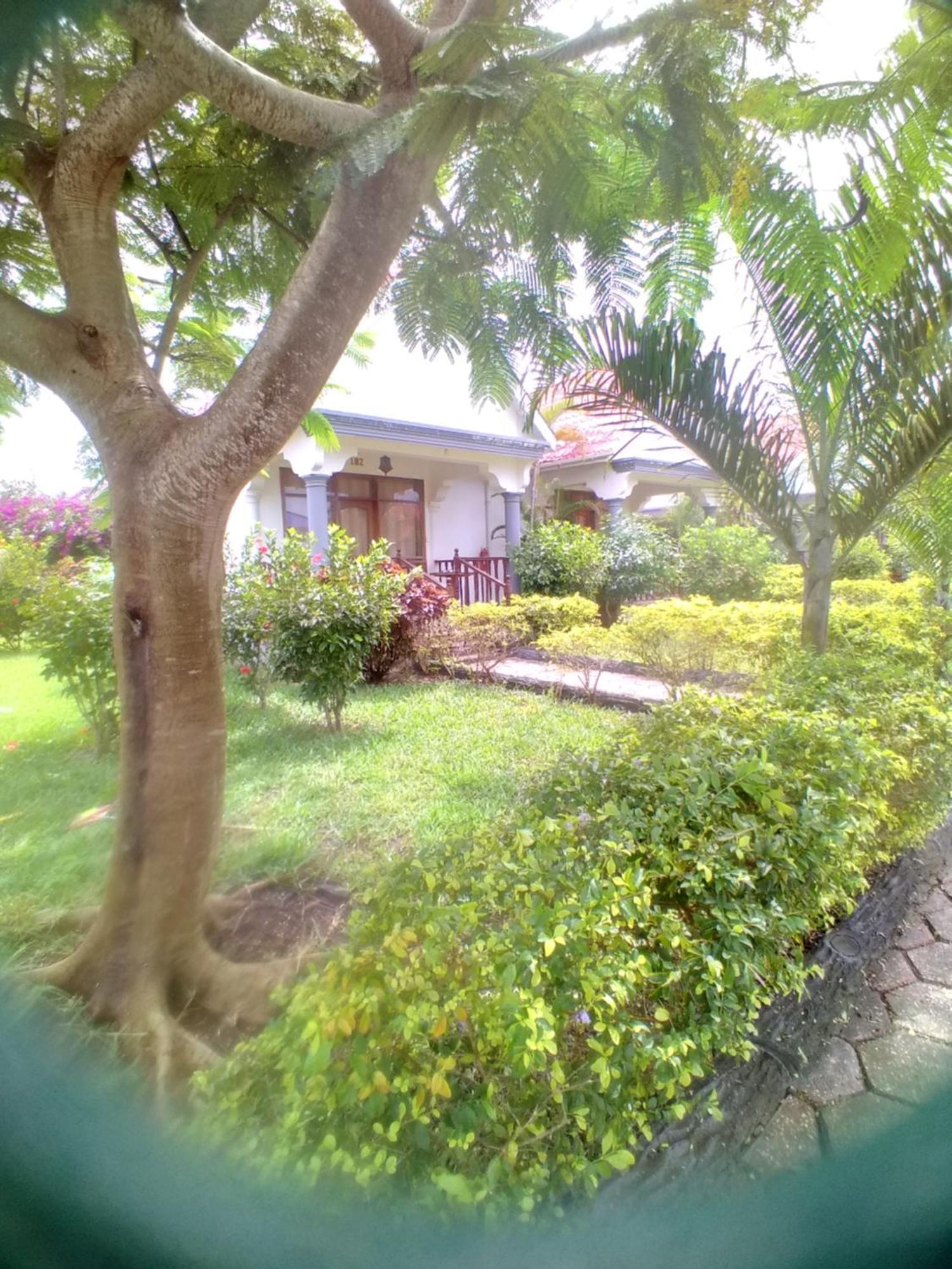 In Ras * Nungwi
