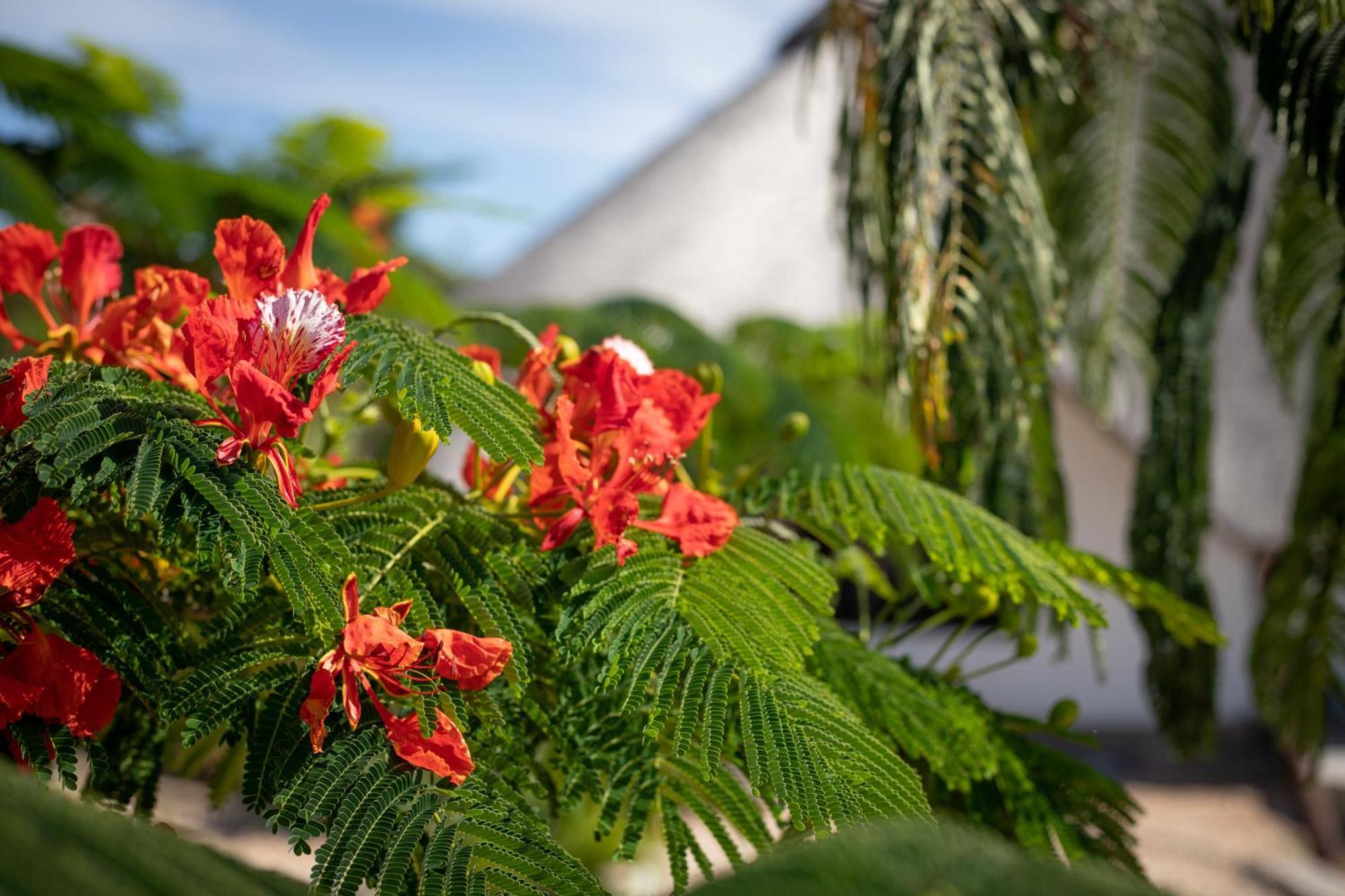 Zaria Garden Villa