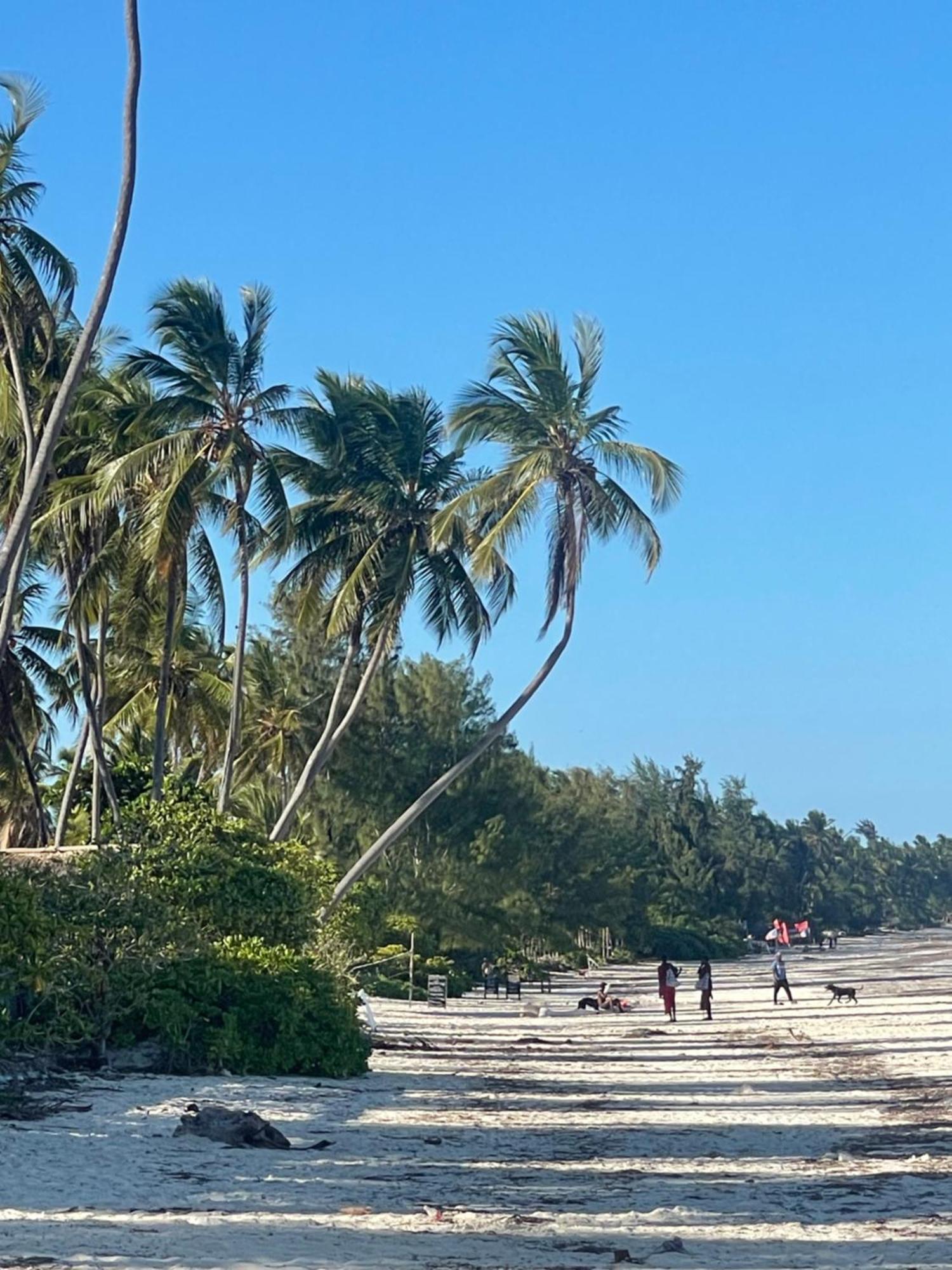 Zanzibar Beach Escape Bwejuu