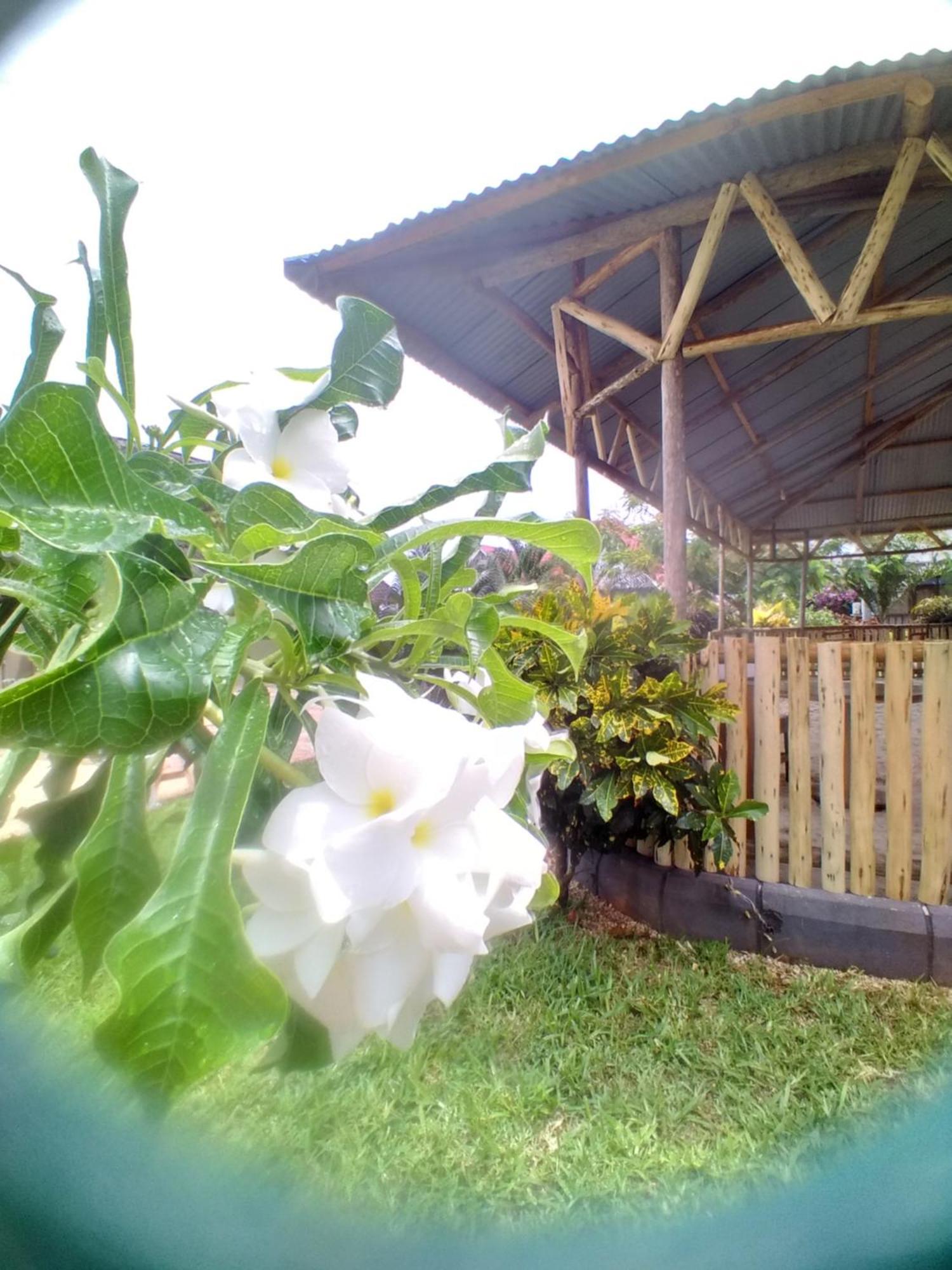 In Ras Nungwi