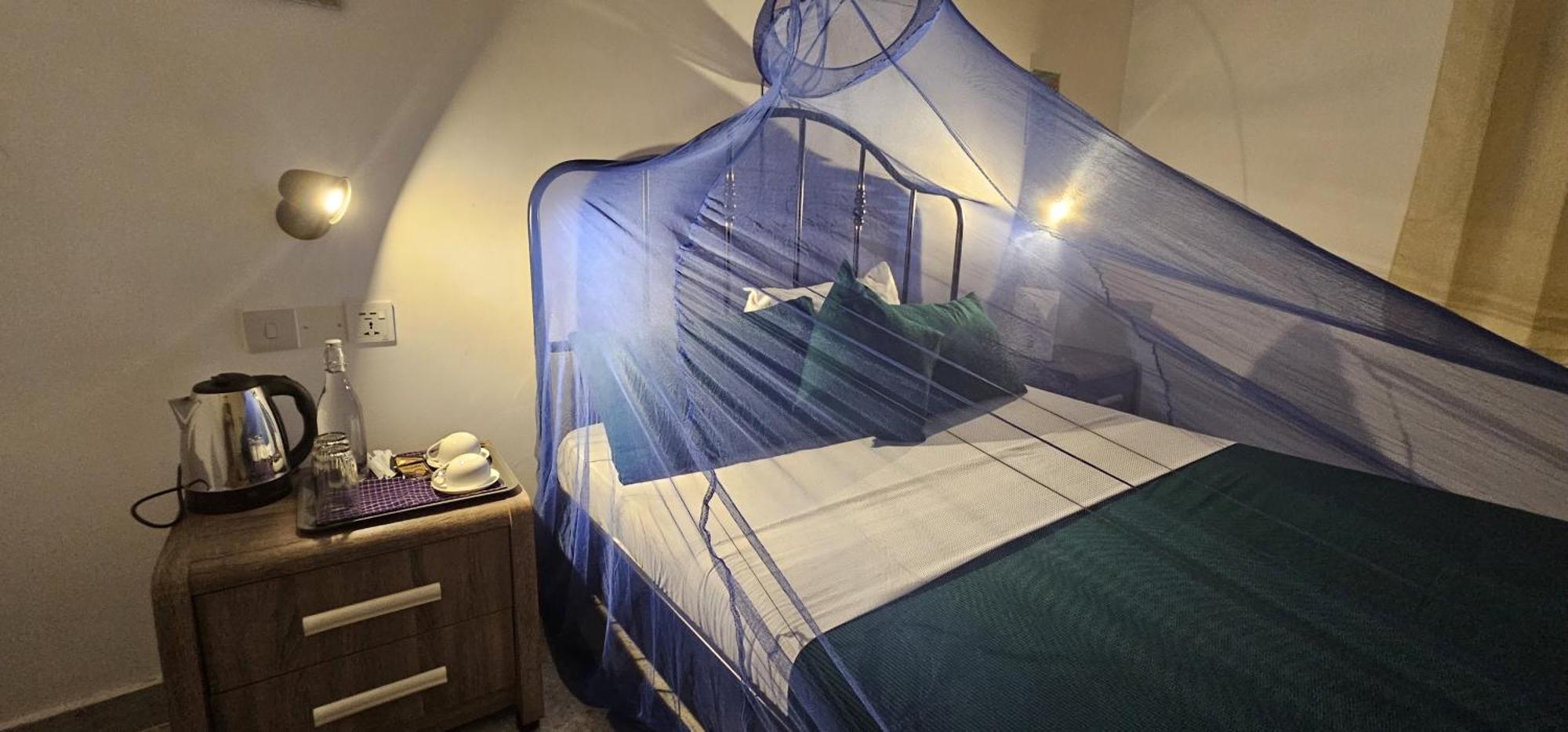 Dragonfly Hotel