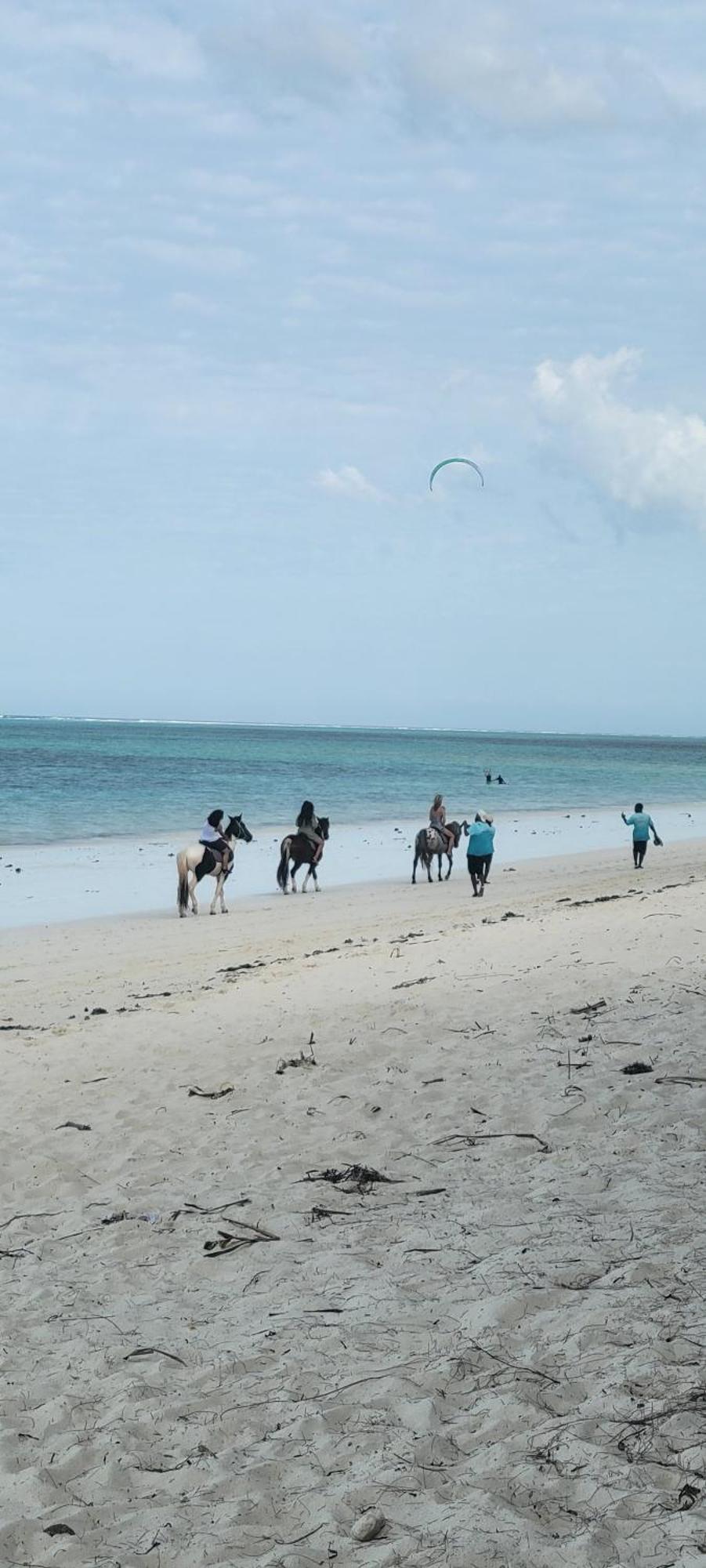 Mambo Lodge *