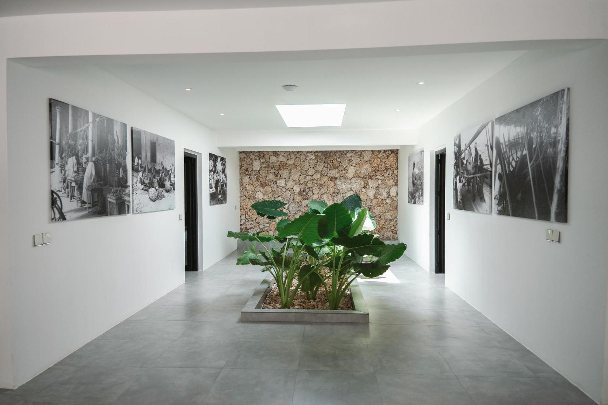 The Oasis 3*