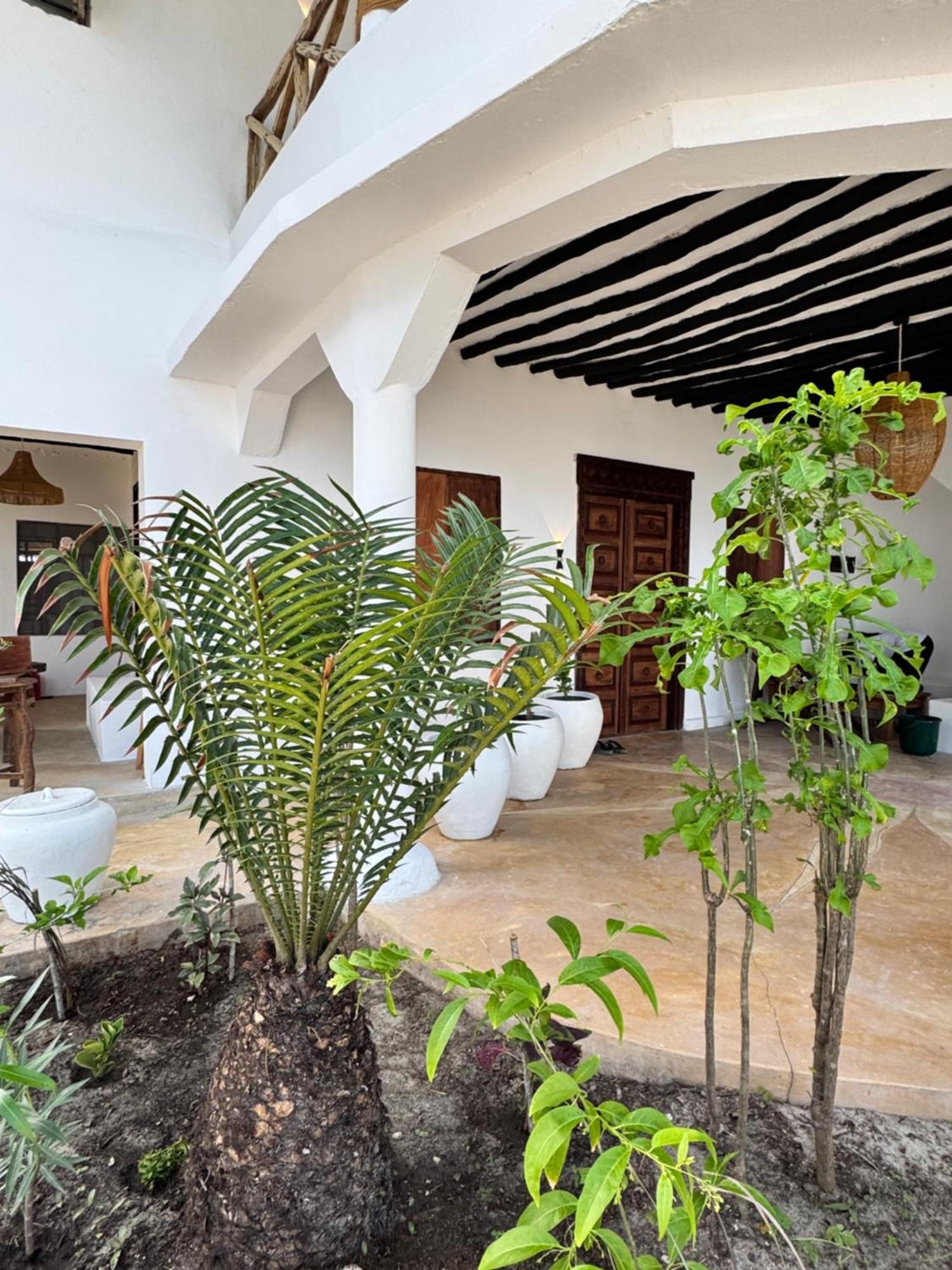 Mango House 3* Jambiani (Zanzibar)