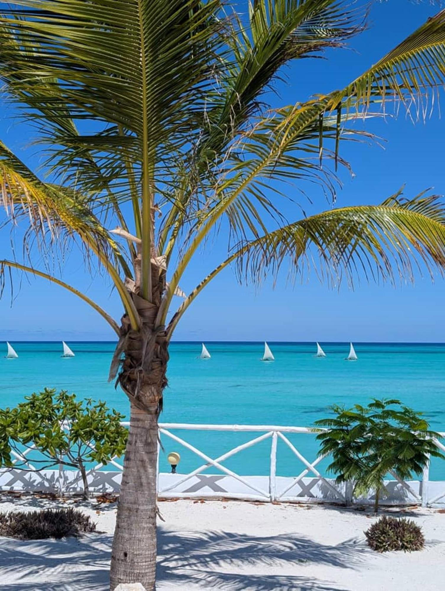 Resort Aquamarina Jambiani (Zanzibar)