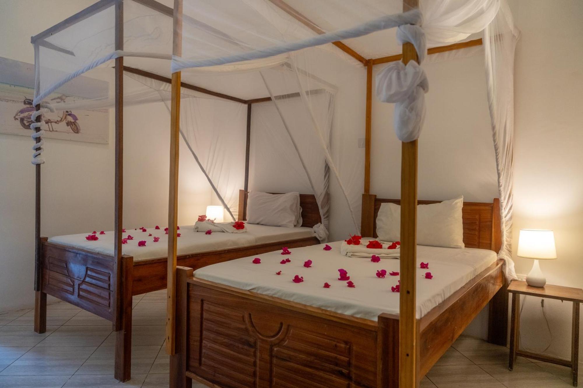 Liquid Life By Buccaneer Hostel