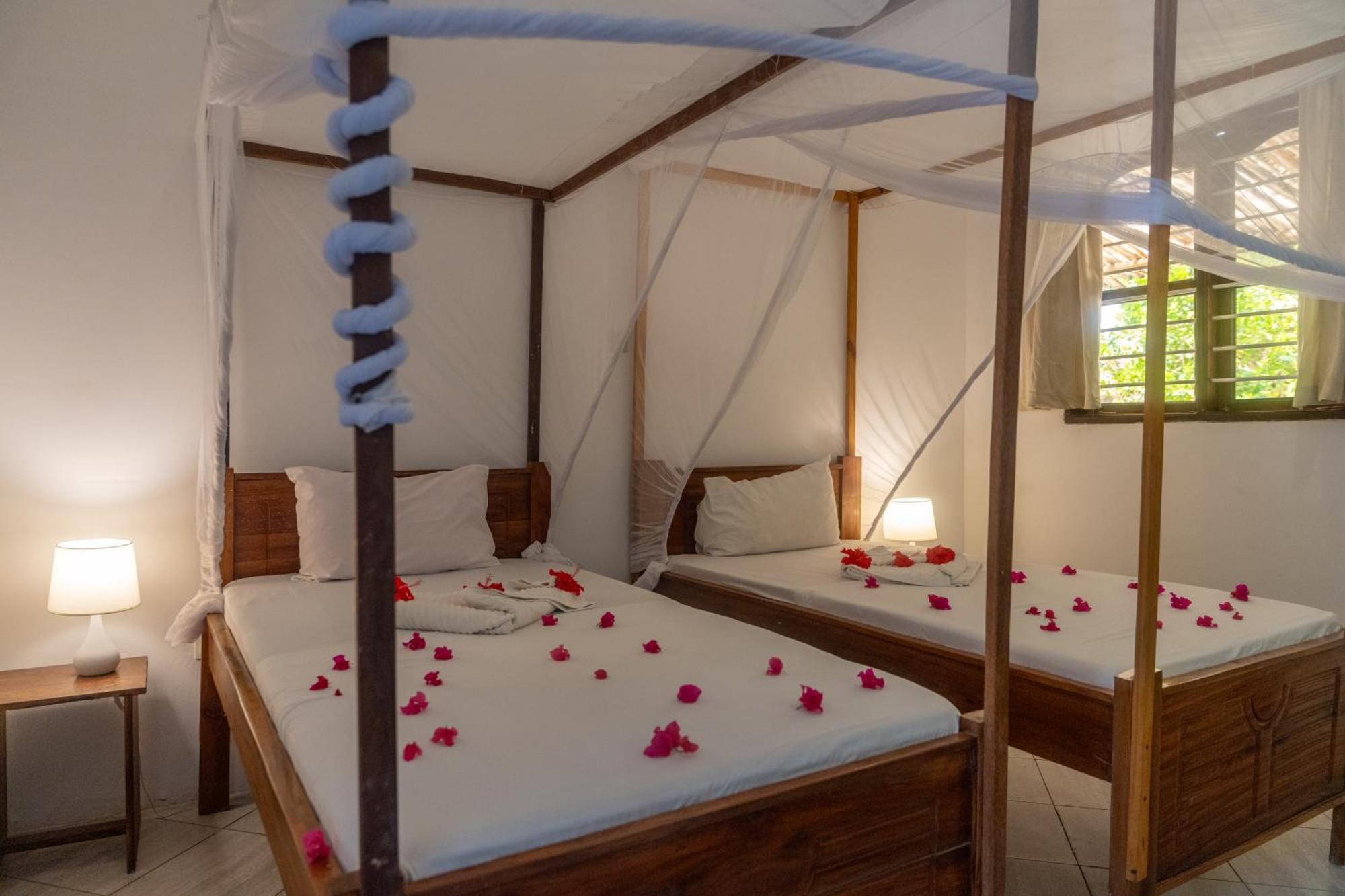Liquid Life By Buccaneer Hostel Paje