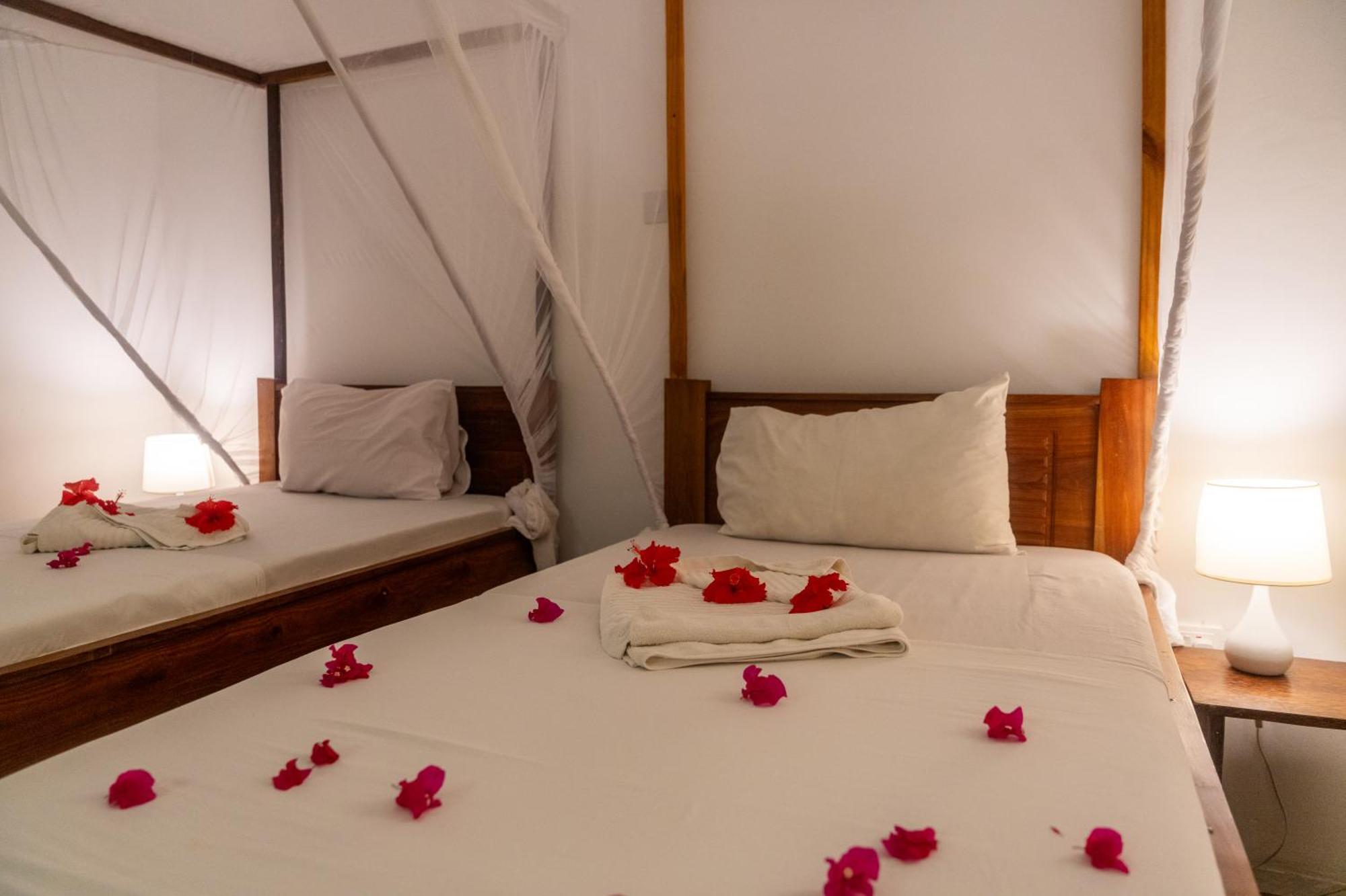 Liquid Life By Buccaneer Hostel *