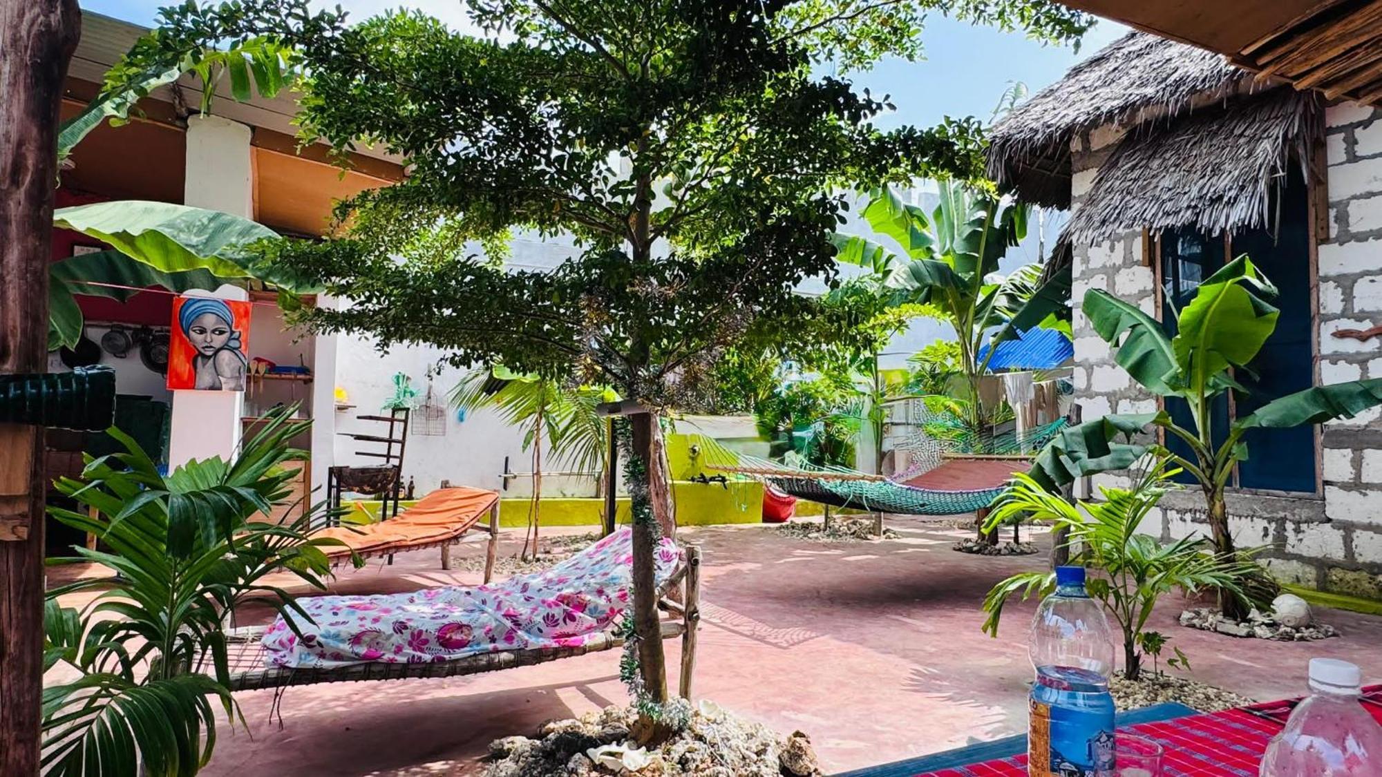 Rafiki Backpackers-hostel *