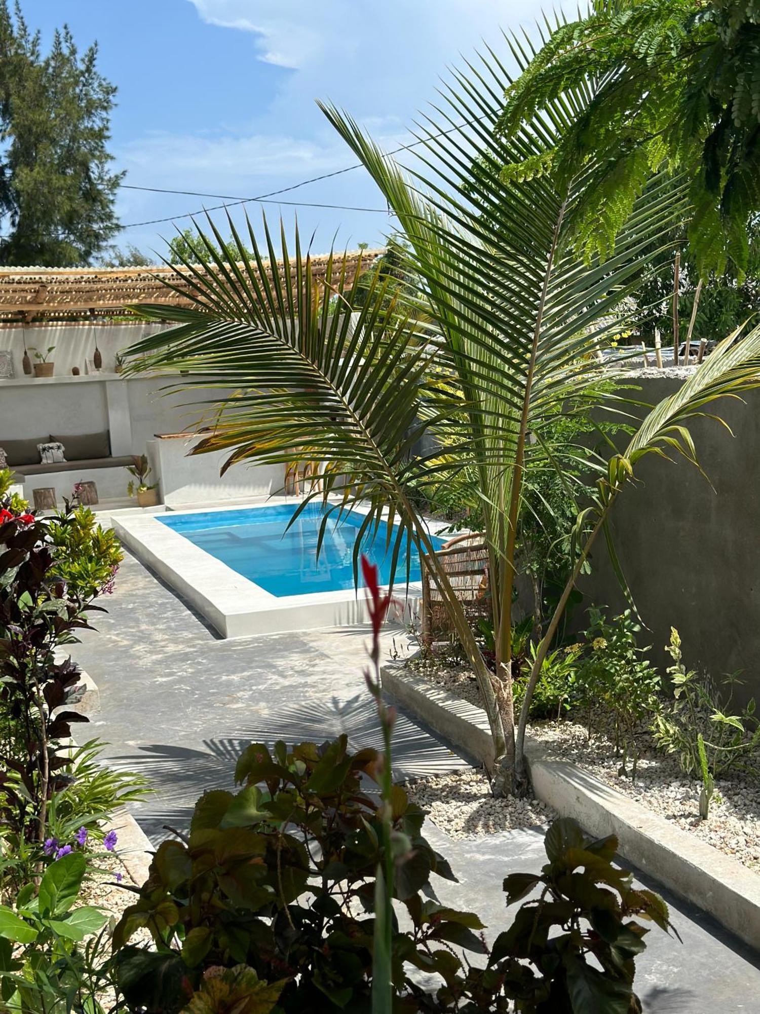 Villa Aloe House Matemwe (Zanzibar)