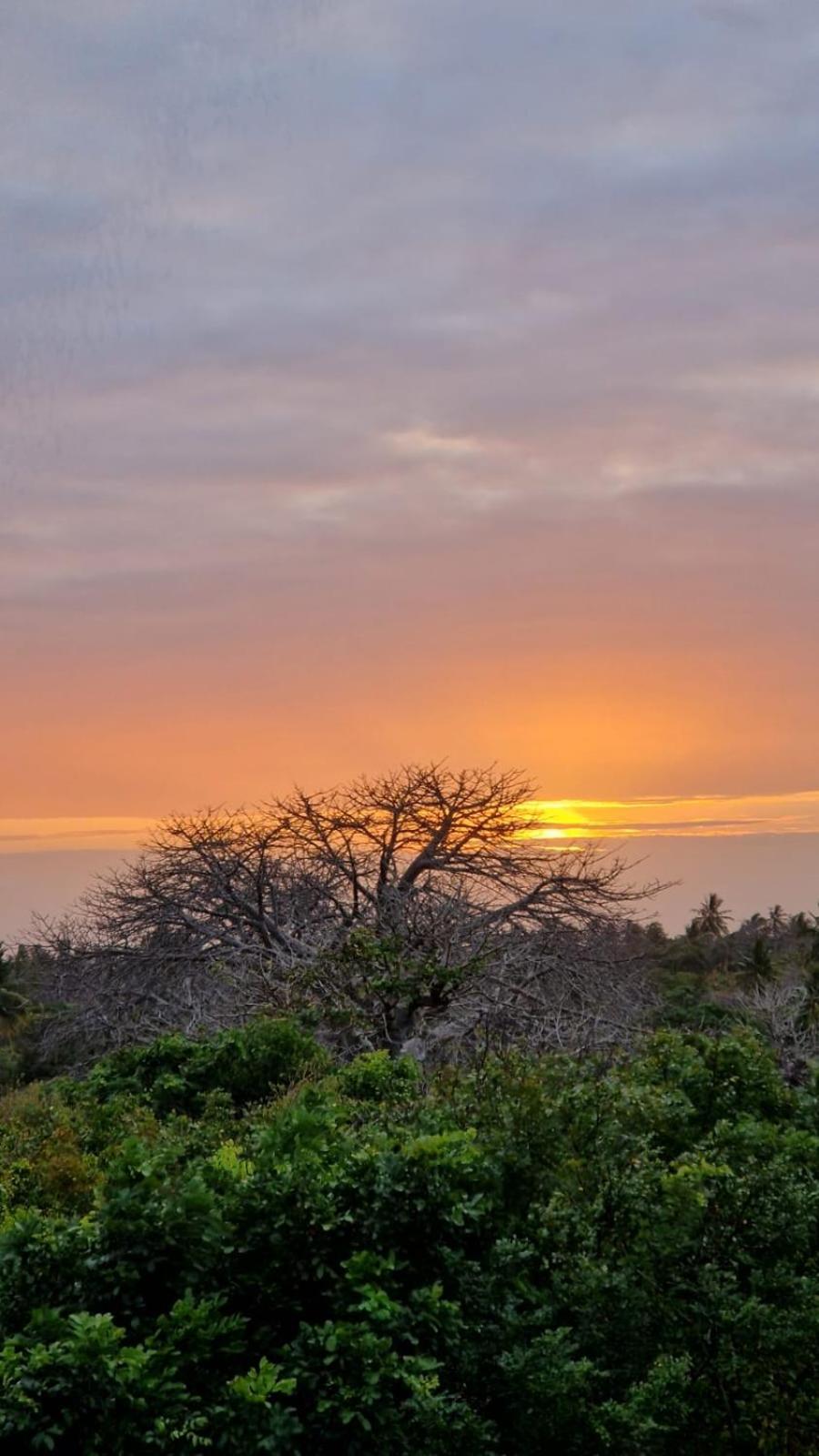 Lodge Monkey Mountain Mtende