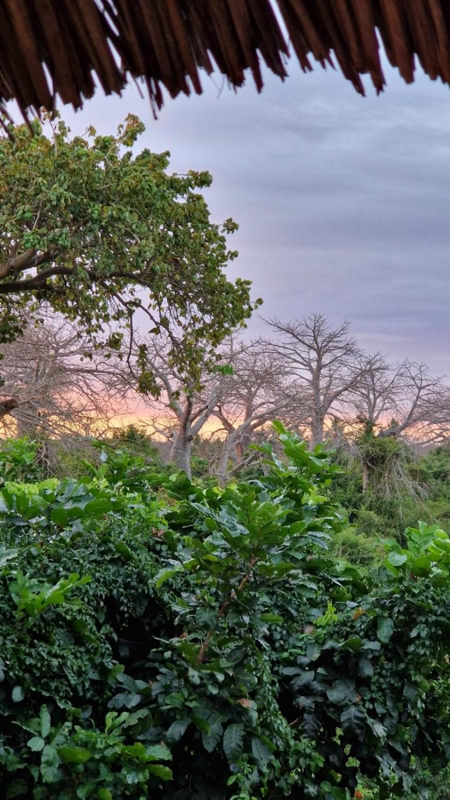 Monkey Mountain Lodge Mtende