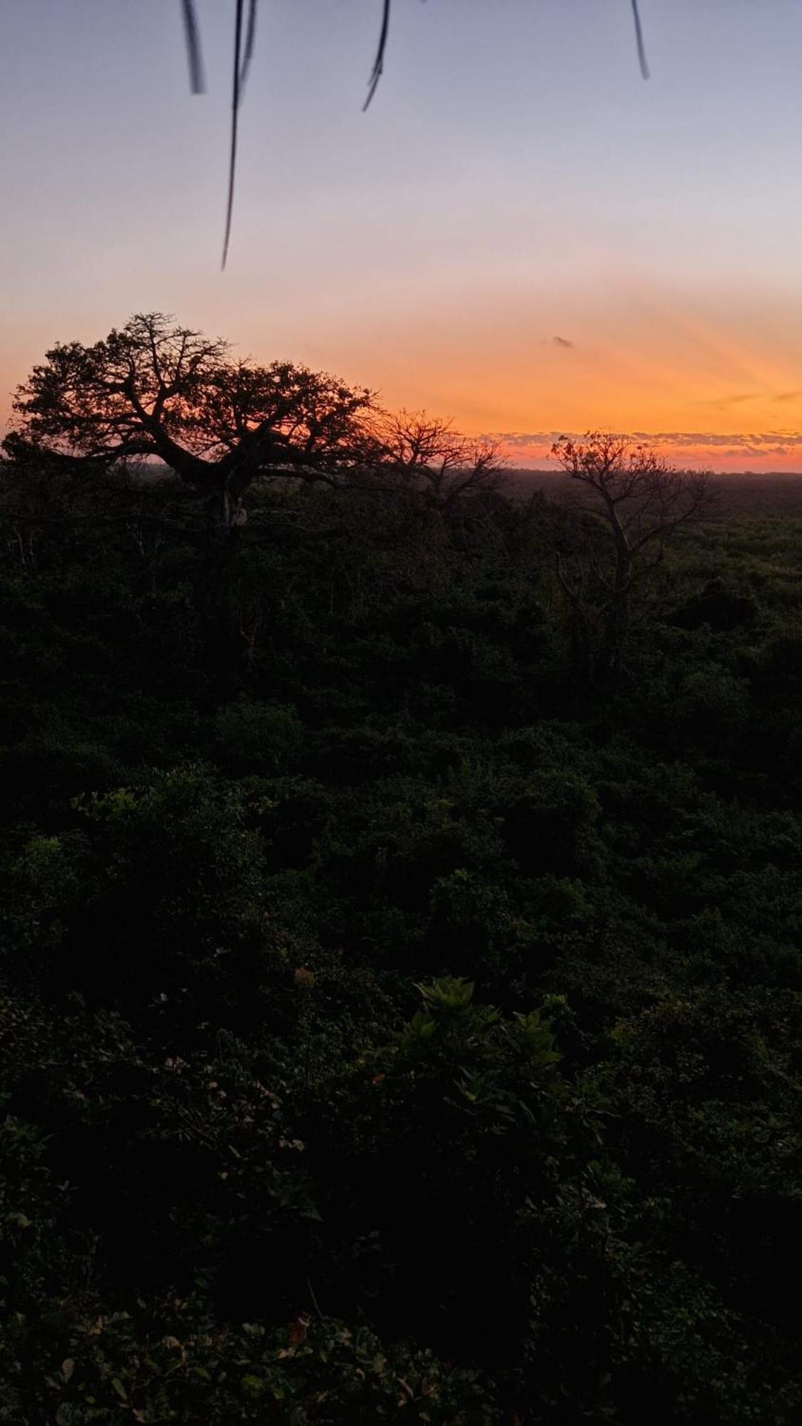Lodge Monkey Mountain *