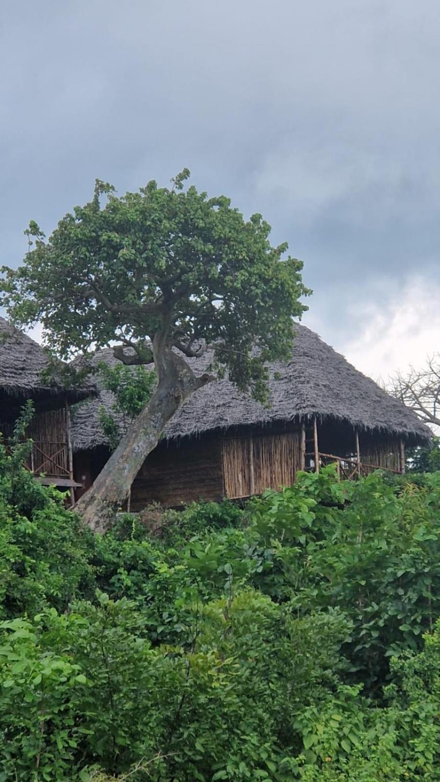 Lodge Monkey Mountain *