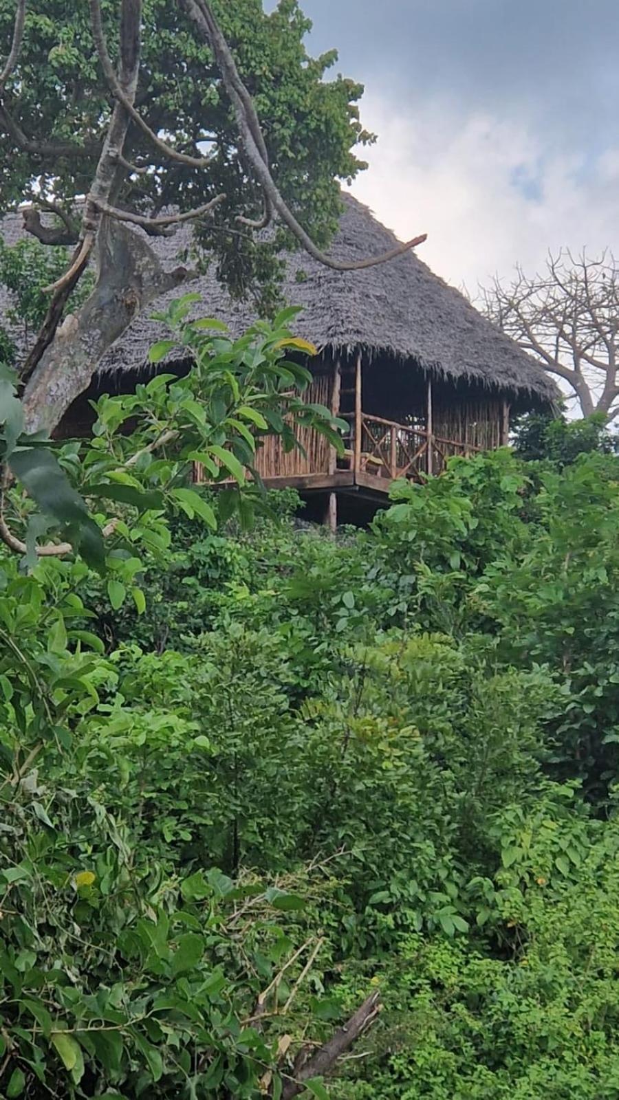 Monkey Mountain