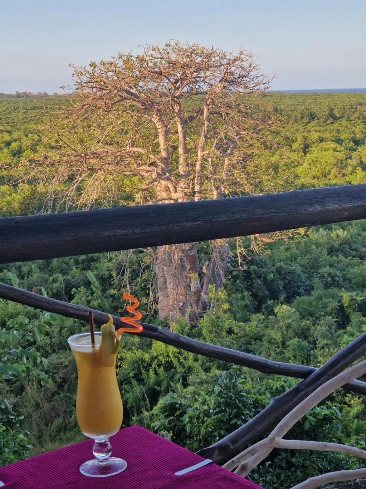 Monkey Mountain Mtende