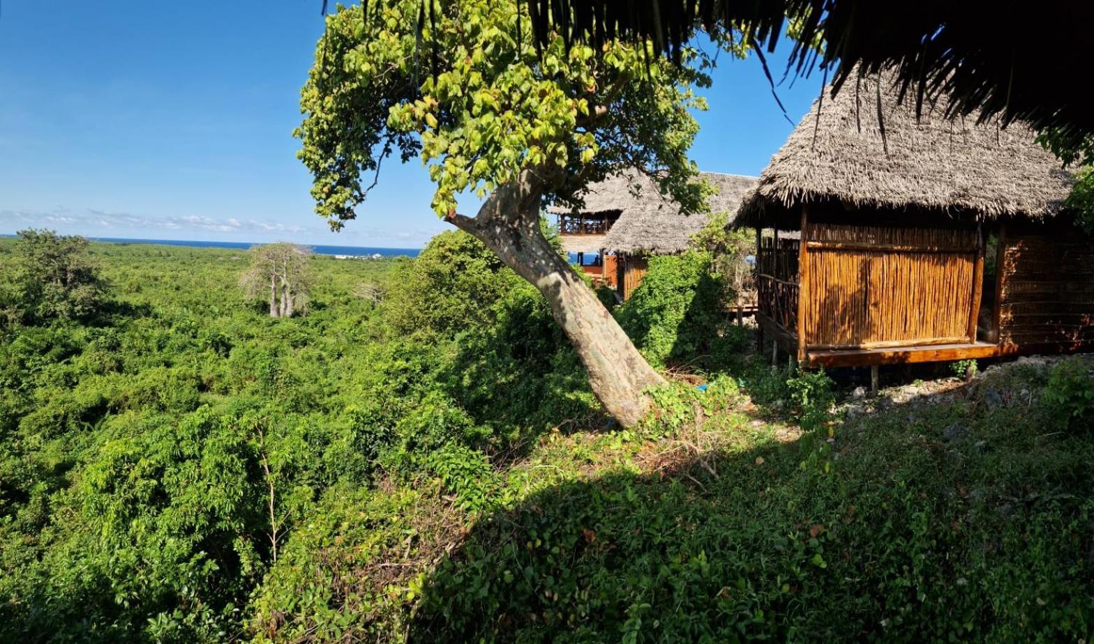 Lodge Monkey Mountain Mtende