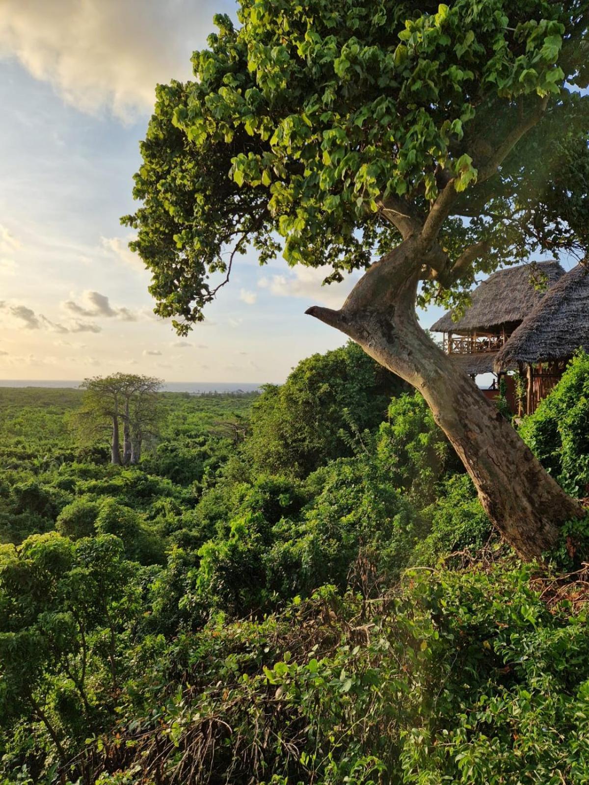 Monkey Mountain Lodge