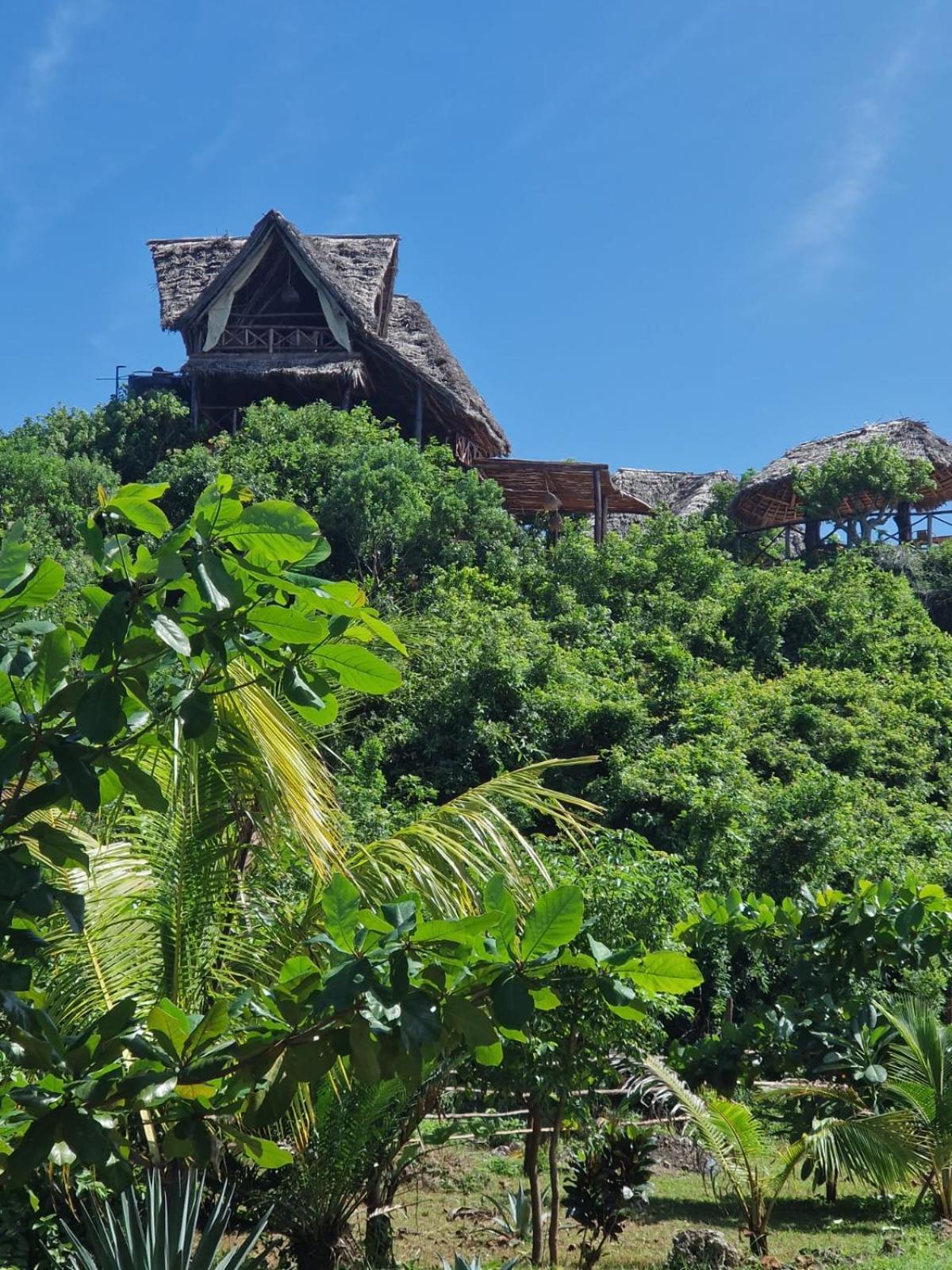 Lodge Monkey Mountain Mtende