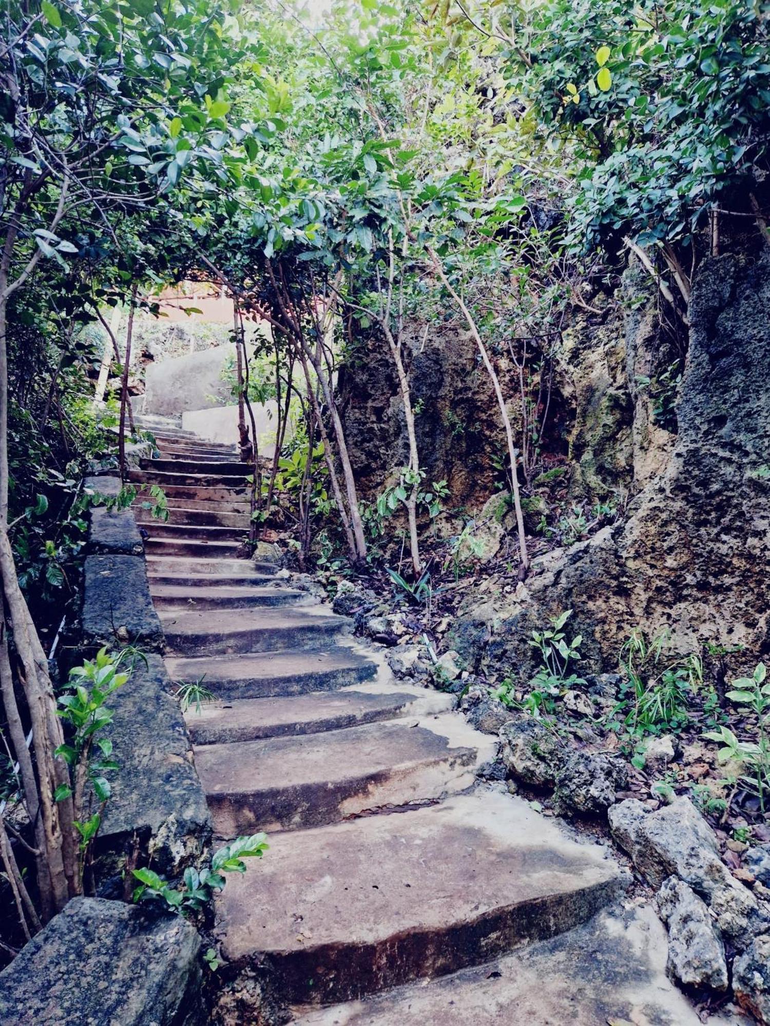 Monkey Mountain Mtende