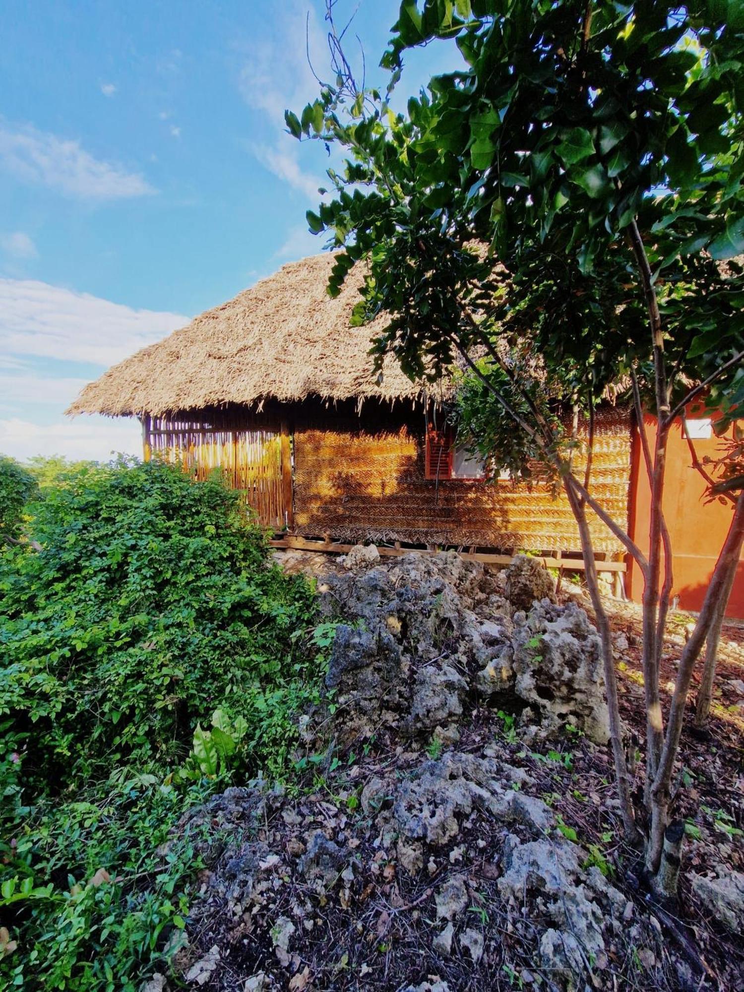 Monkey Mountain Lodge *