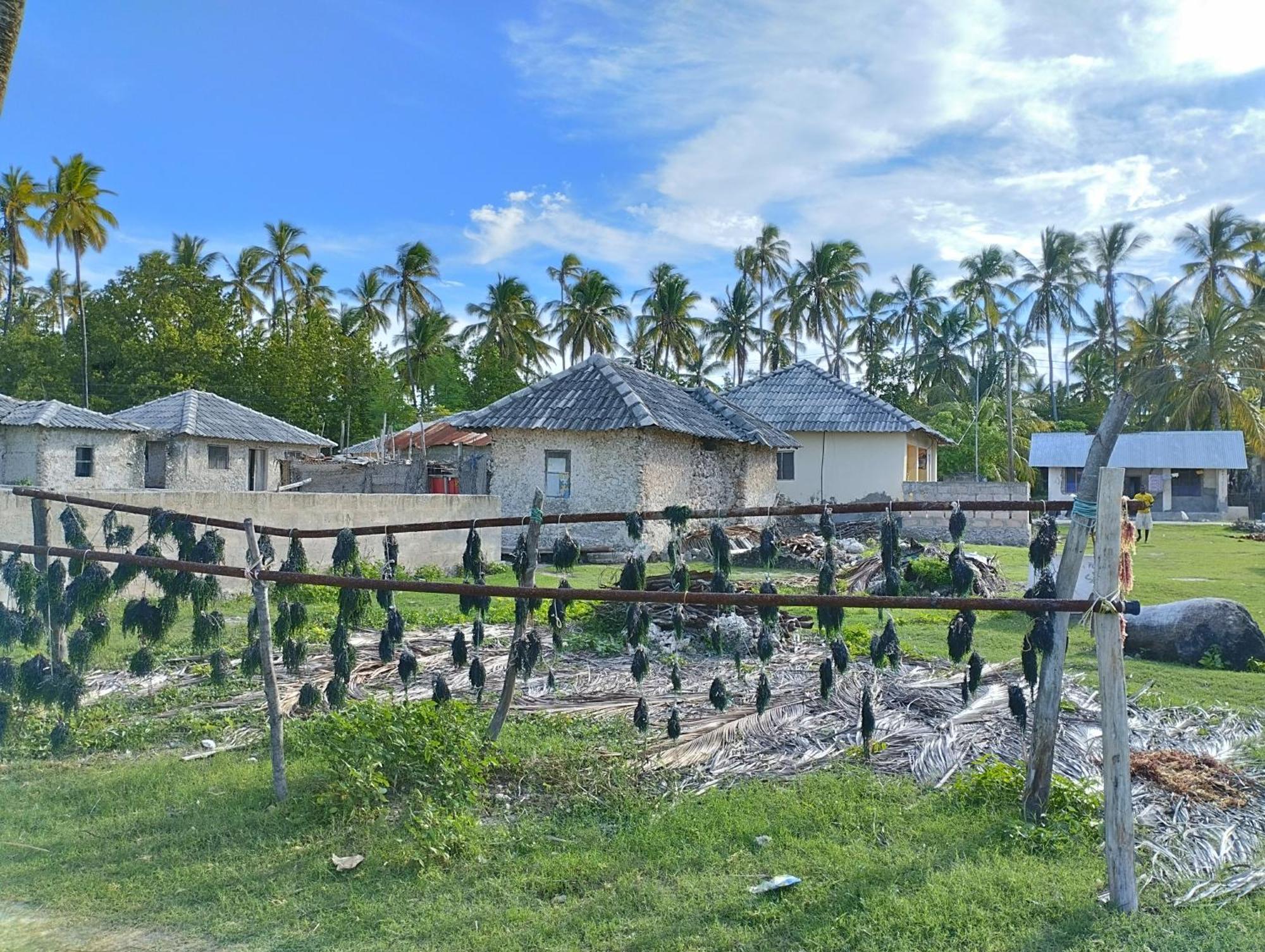 Bed & Breakfast Shwari House