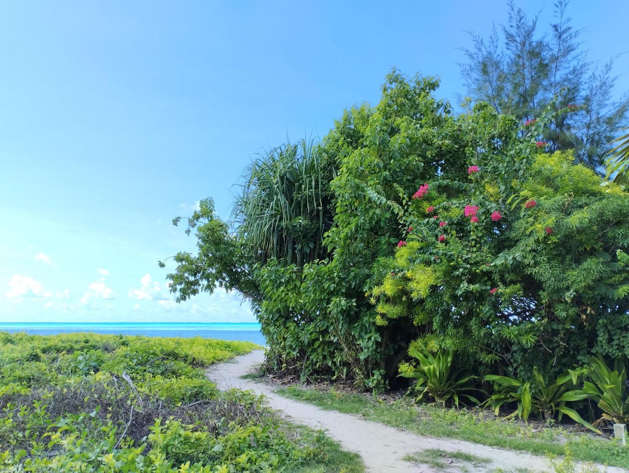 Bed & Breakfast Shwari House Jambiani (Zanzibar)