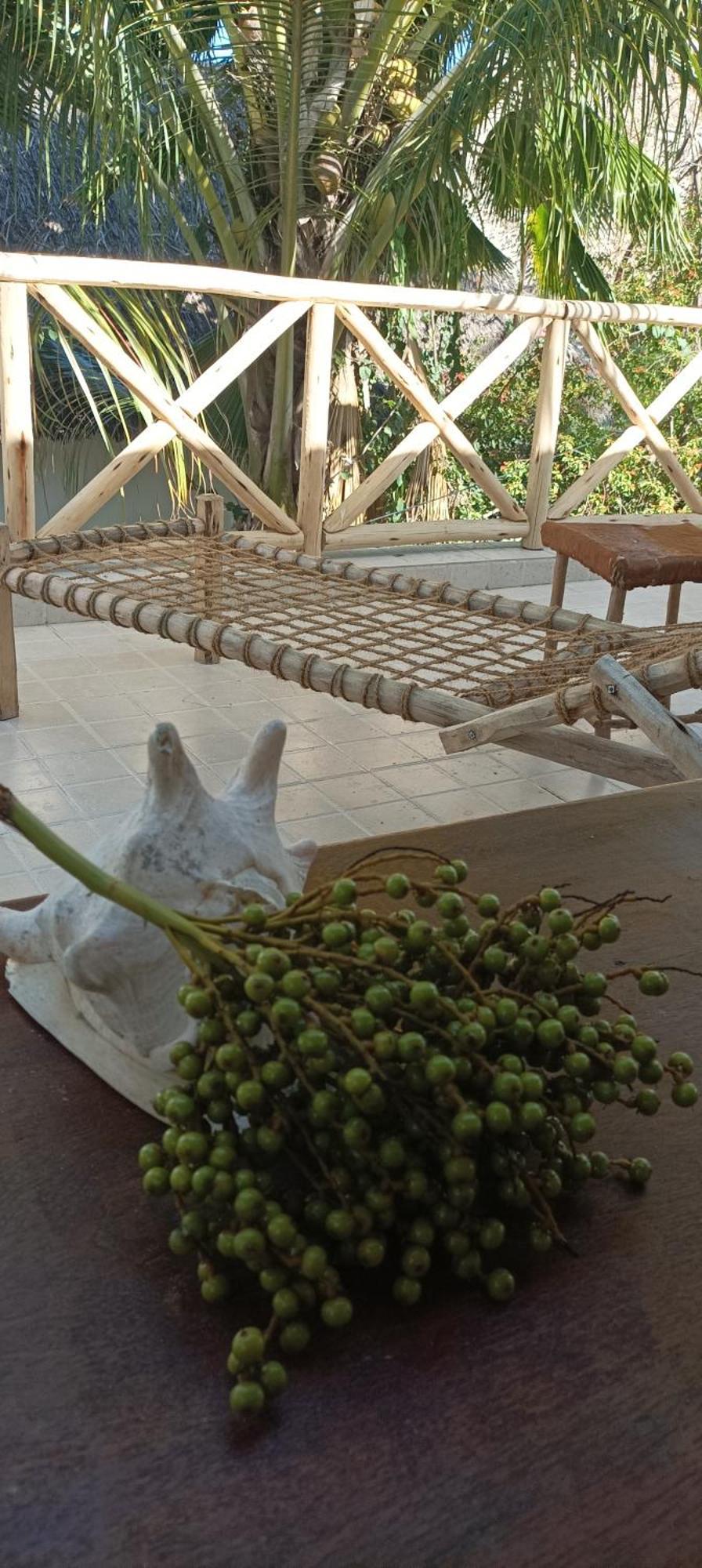 Amka House Holiday home Jambiani (Zanzibar)
