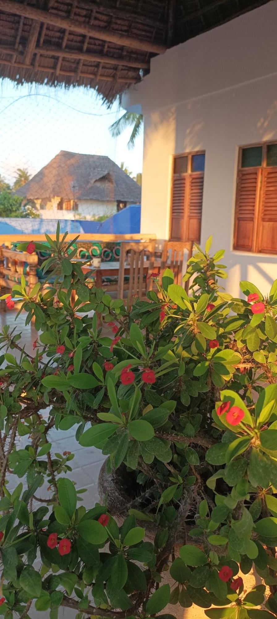Amka House Jambiani (Zanzibar)