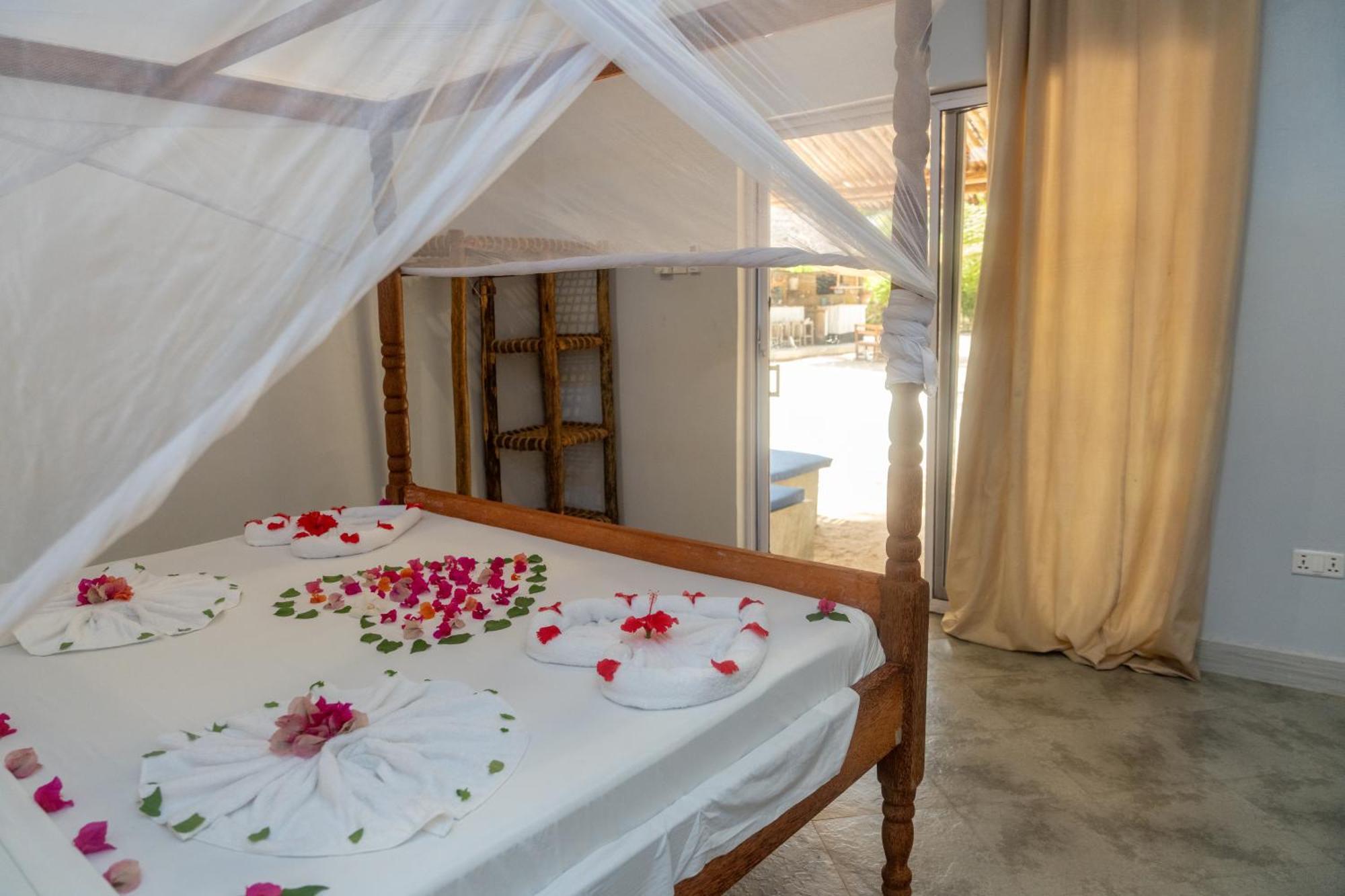 Liquid Life By Buccaneer Hostel