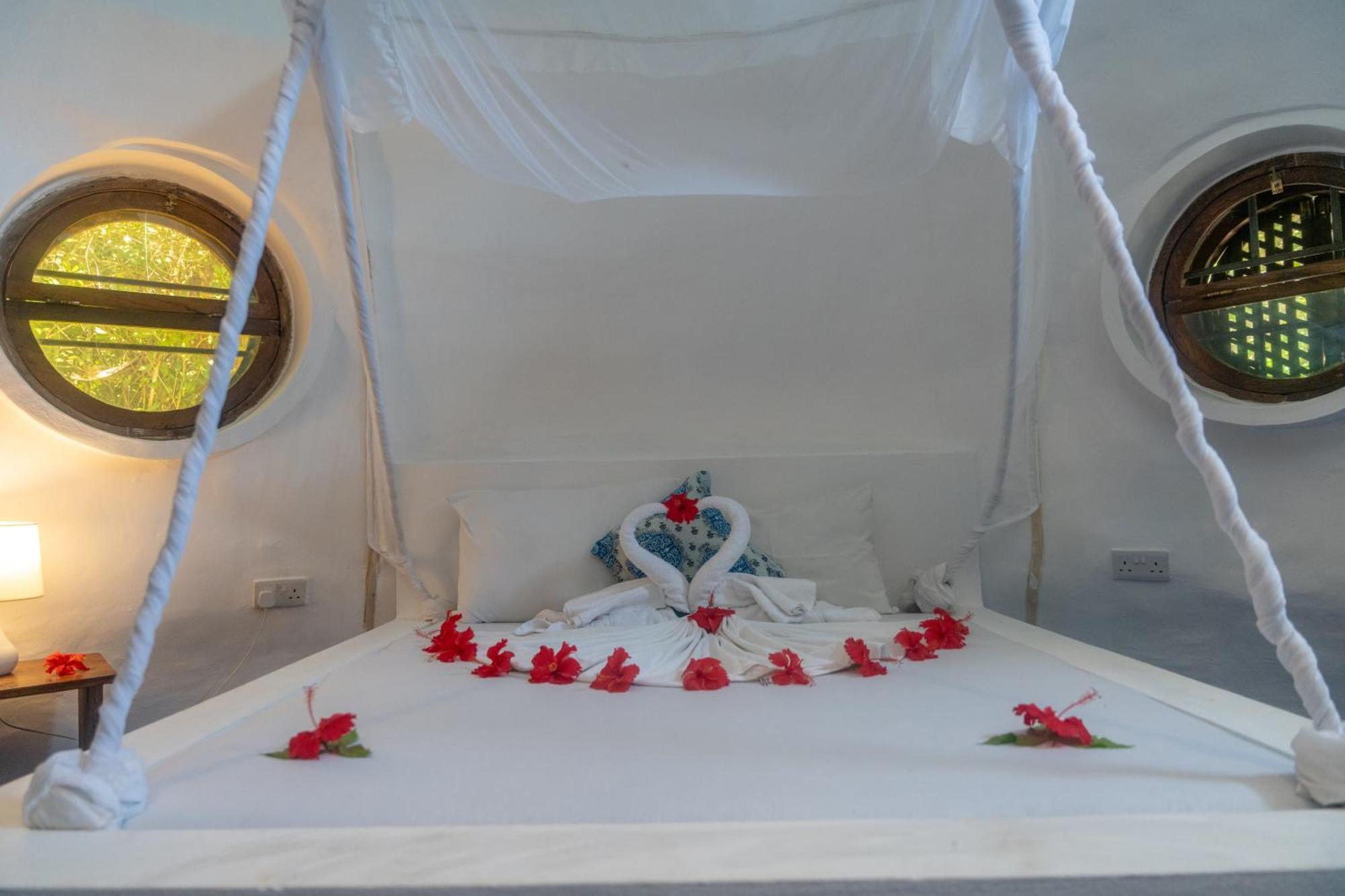 Liquid Life By Buccaneer Hostel Paje