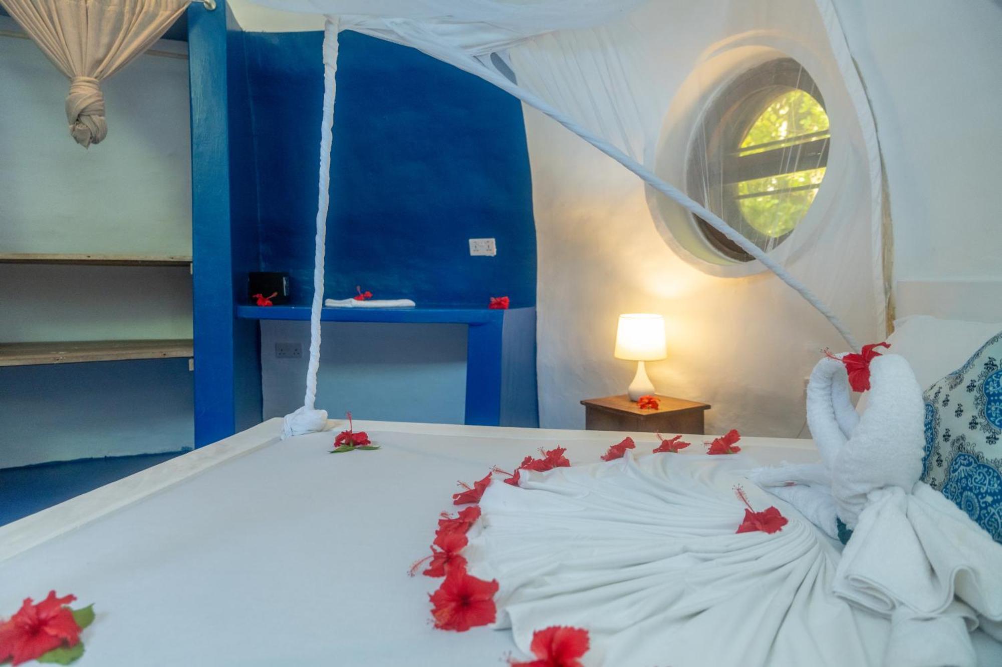 Liquid Life By Buccaneer Hostel