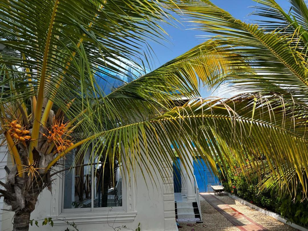 Zanzibar Farhat