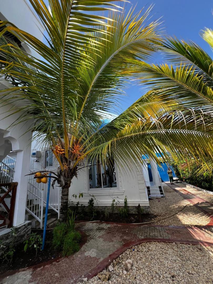 Zanzibar Farhat Kiwengwa (Zanzibar)