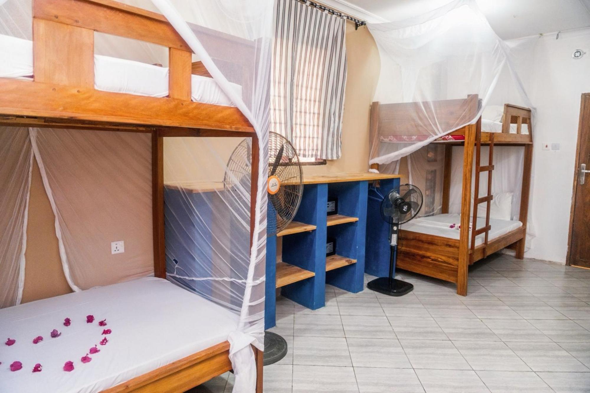 Hostel Liquid Life By Buccaneer