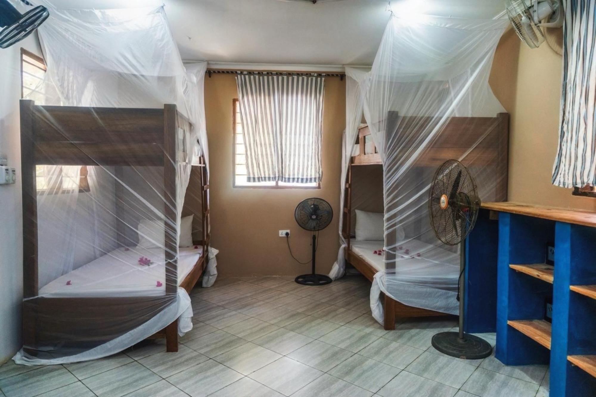 Liquid Life By Buccaneer Hostel *