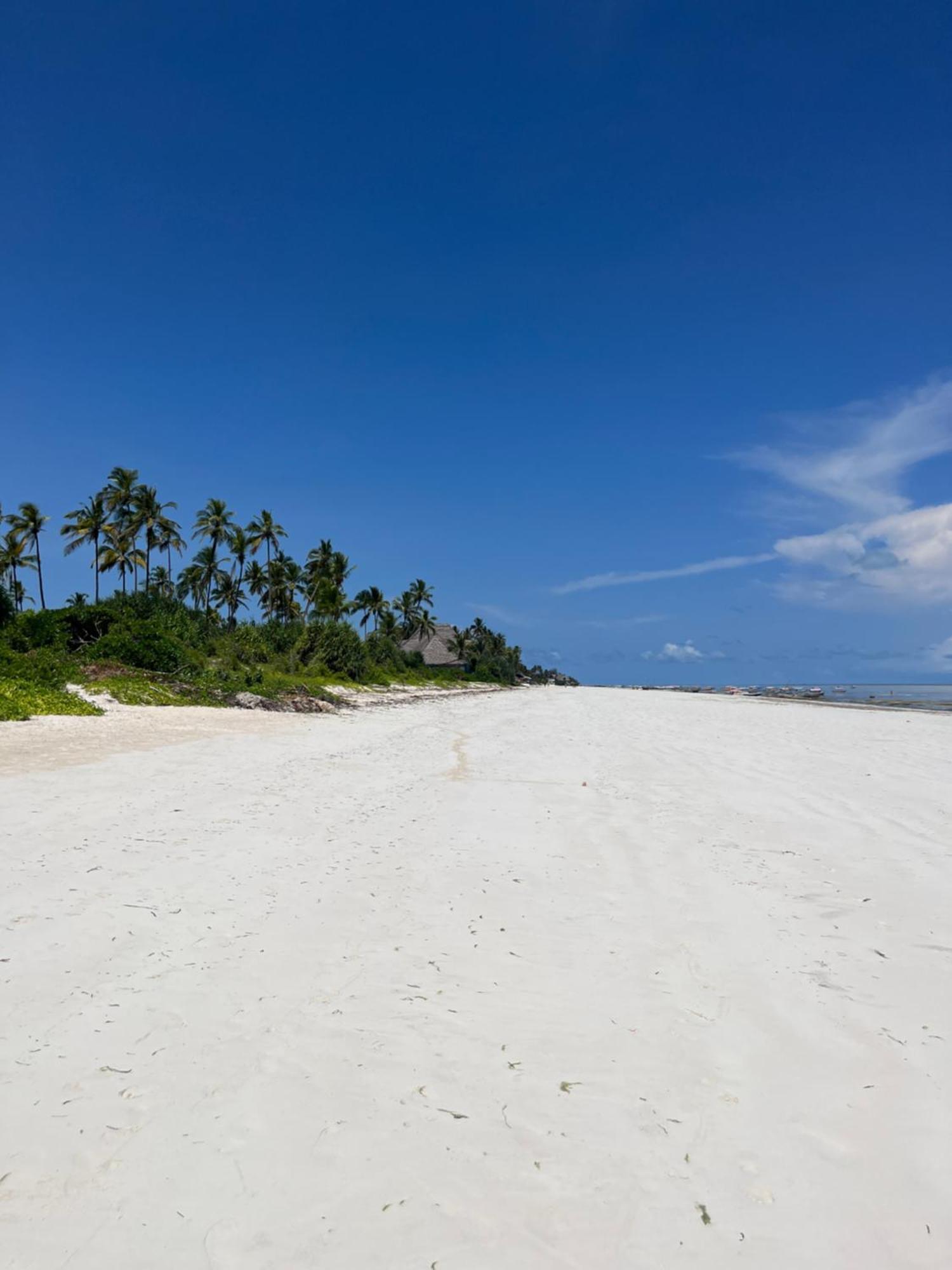 Just Heaven * Matemwe (Zanzibar)