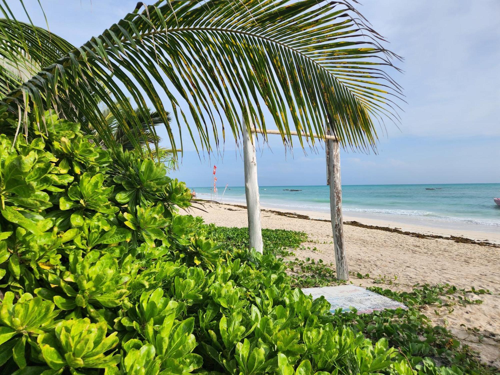 Two Palms * Jambiani (Zanzibar)