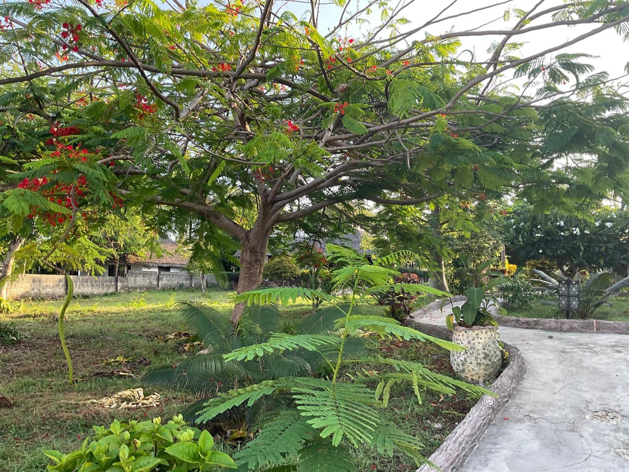Zanzi Rest * Nungwi