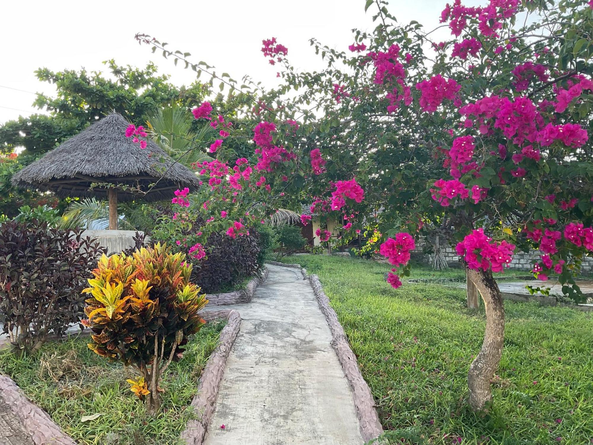 Zanzi Rest Hotel Nungwi