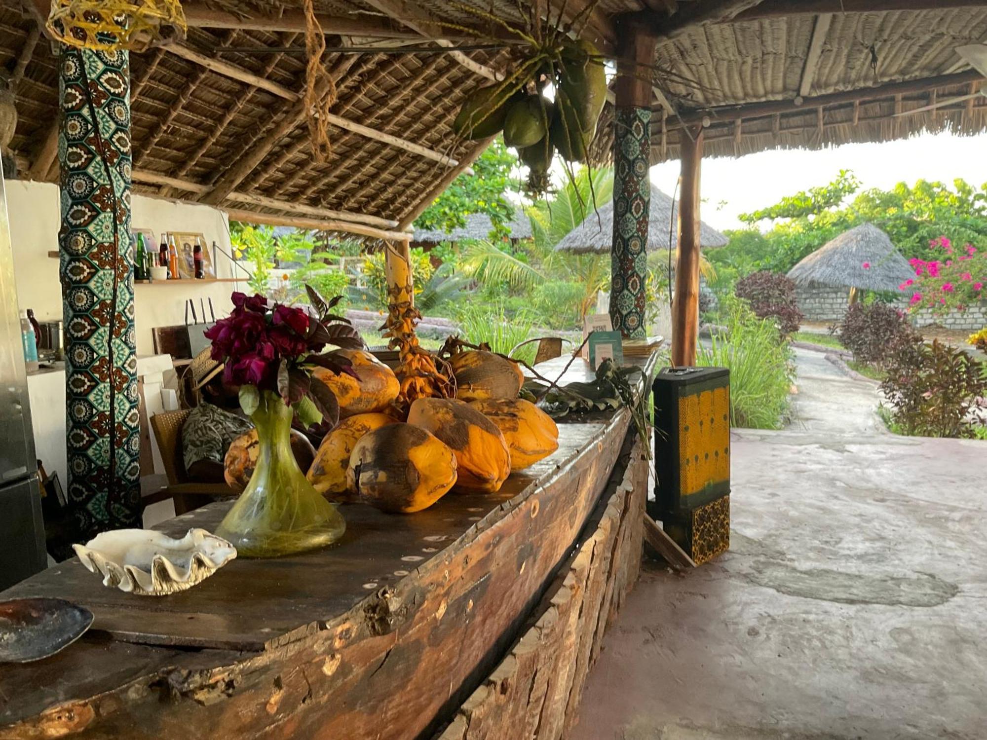 Zanzi Rest Nungwi