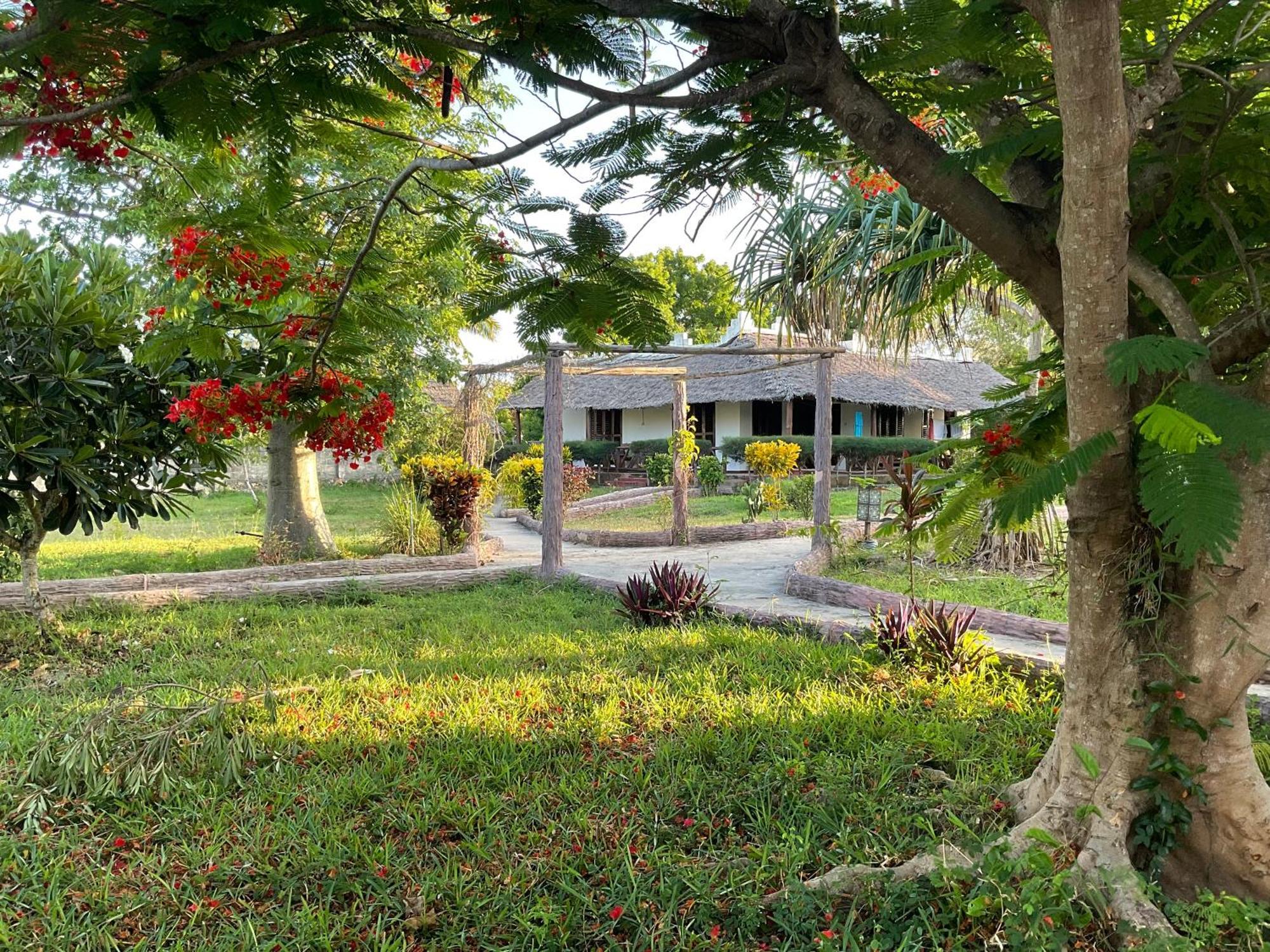 Zanzi Rest