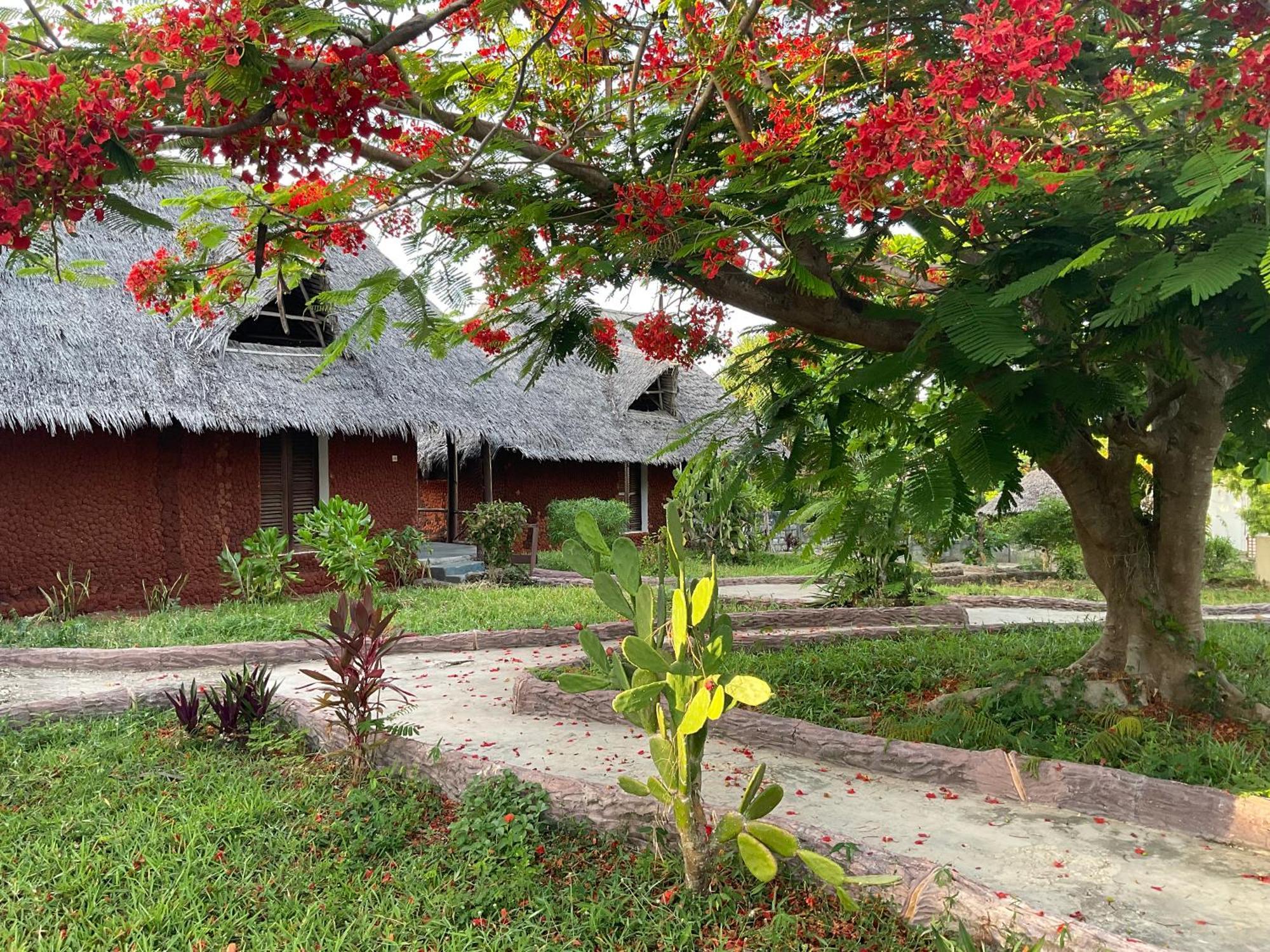 Zanzi Rest Hotel