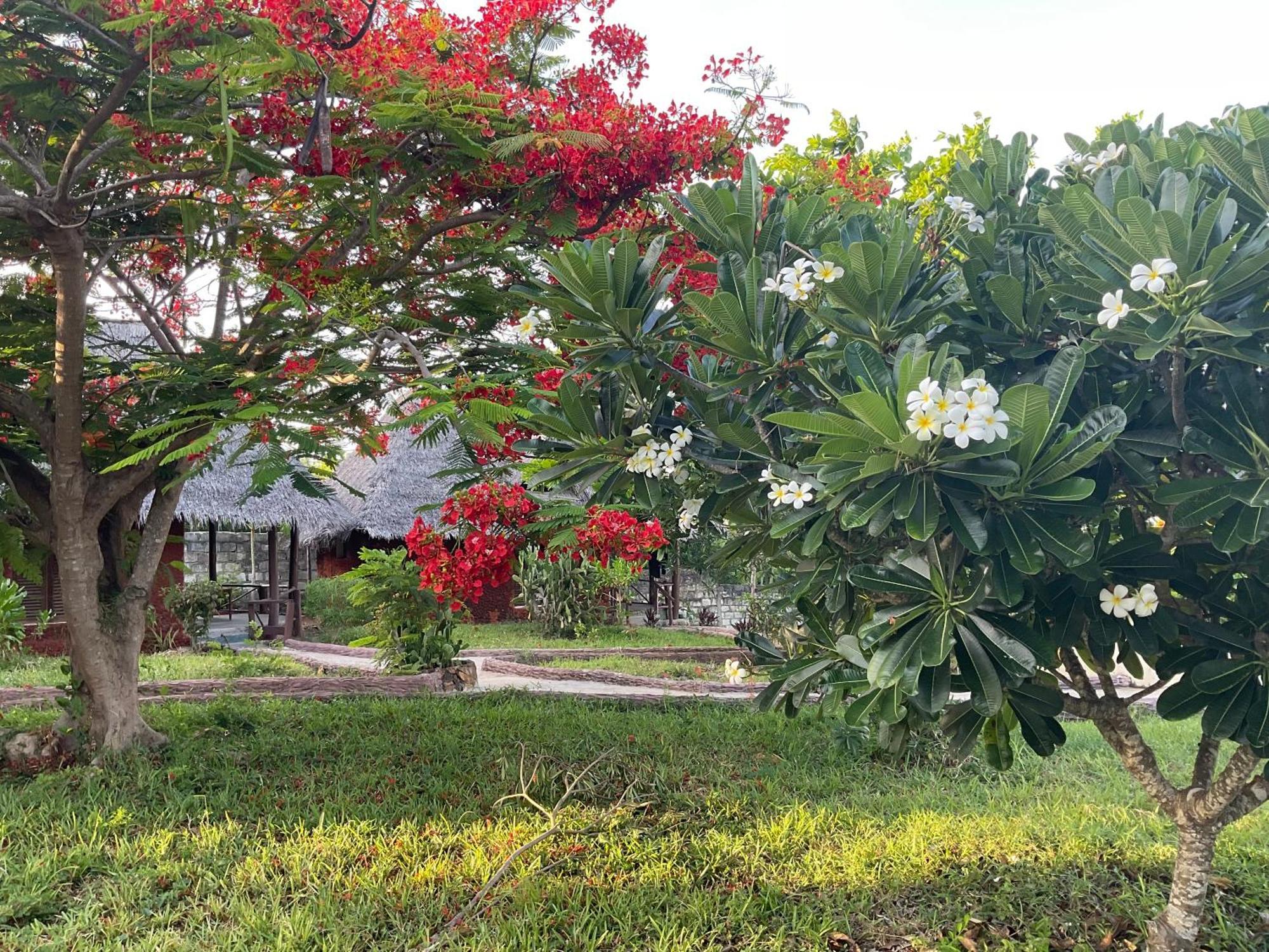 Zanzi Rest Nungwi