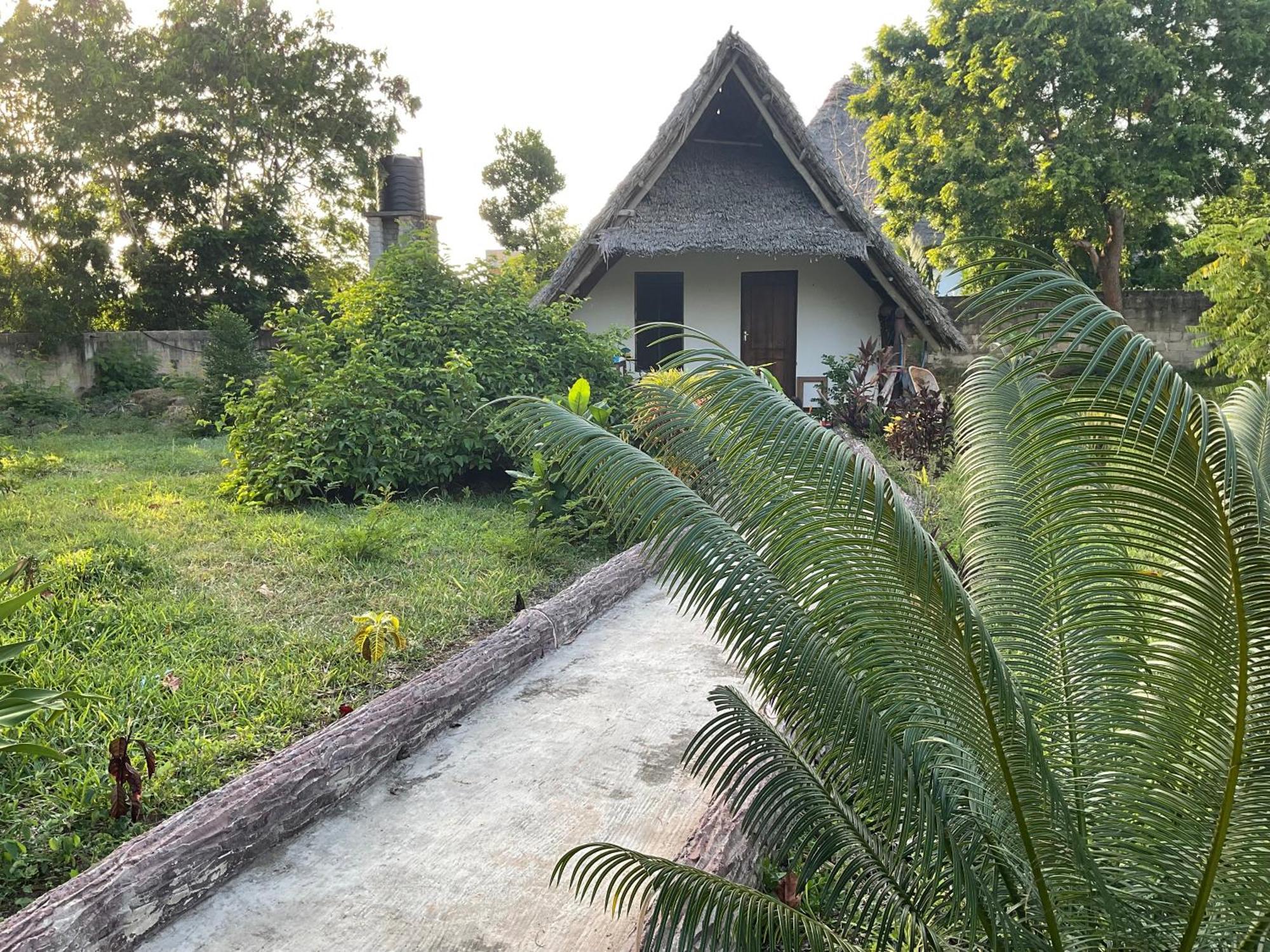 Zanzi Rest