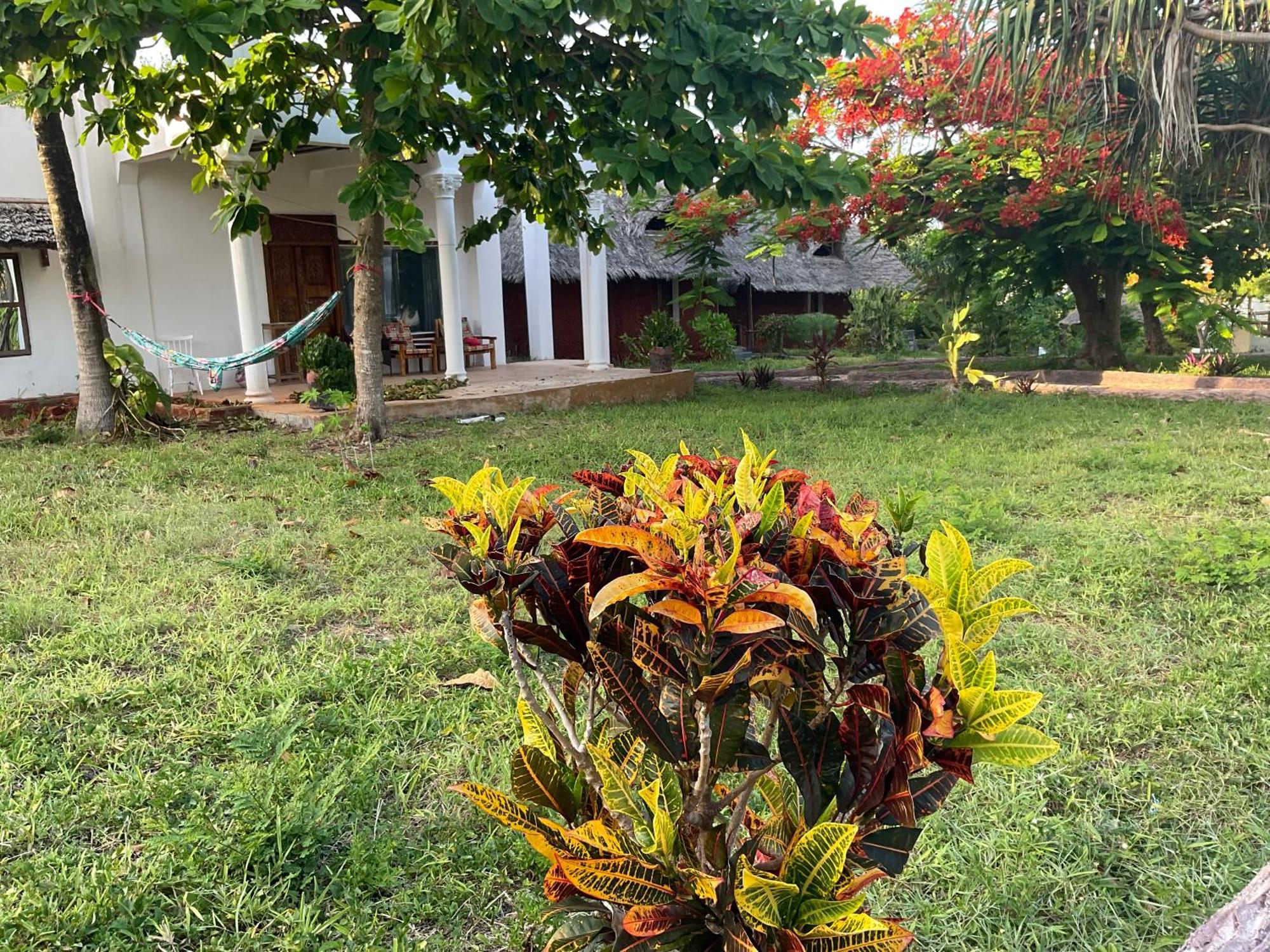 Zanzi Rest Hotel *